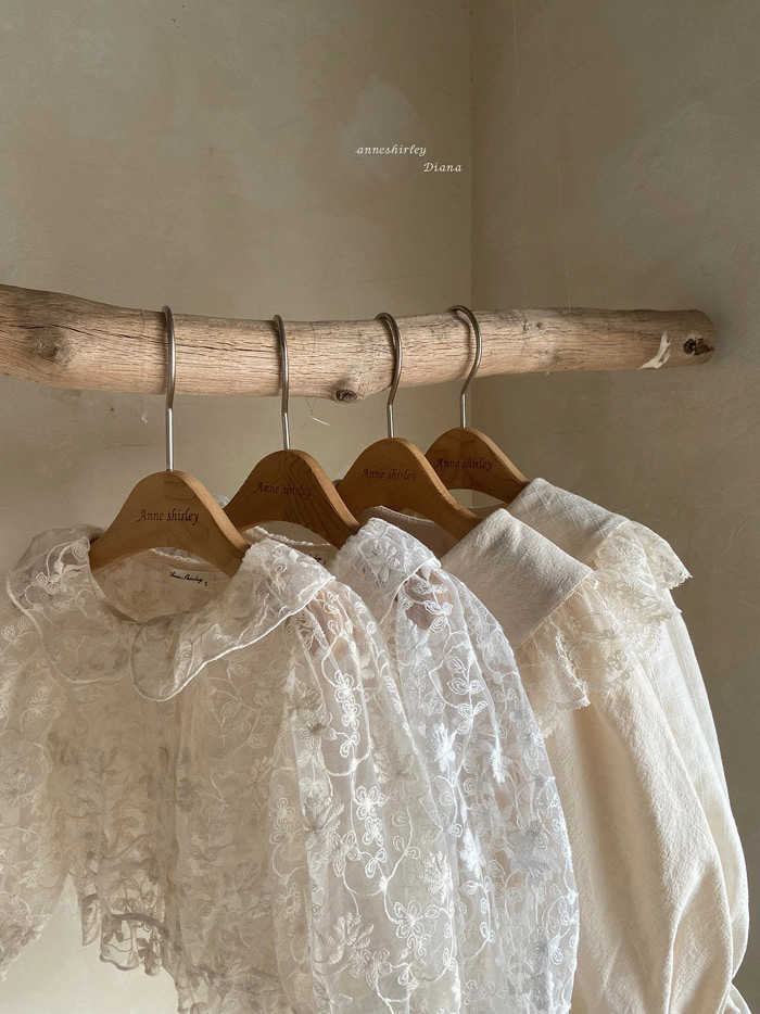 🇰🇷Anne shirley blouse