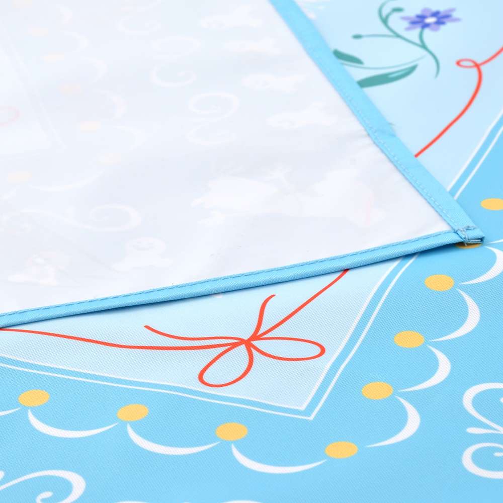 🎀【預訂】 Frozen Fever Elsa & Anna picnic blanket with pouch