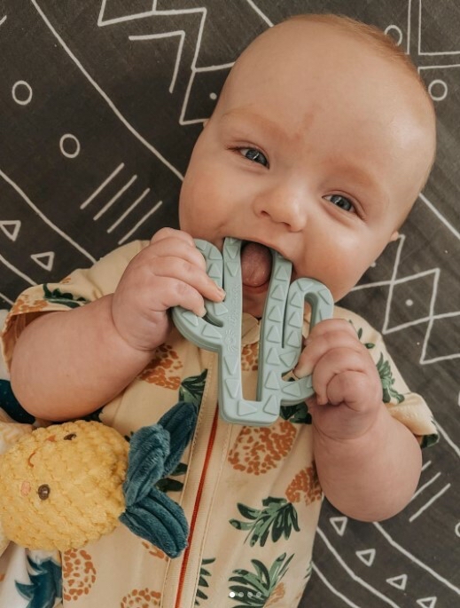 Silicone Baby Teether - Cactus