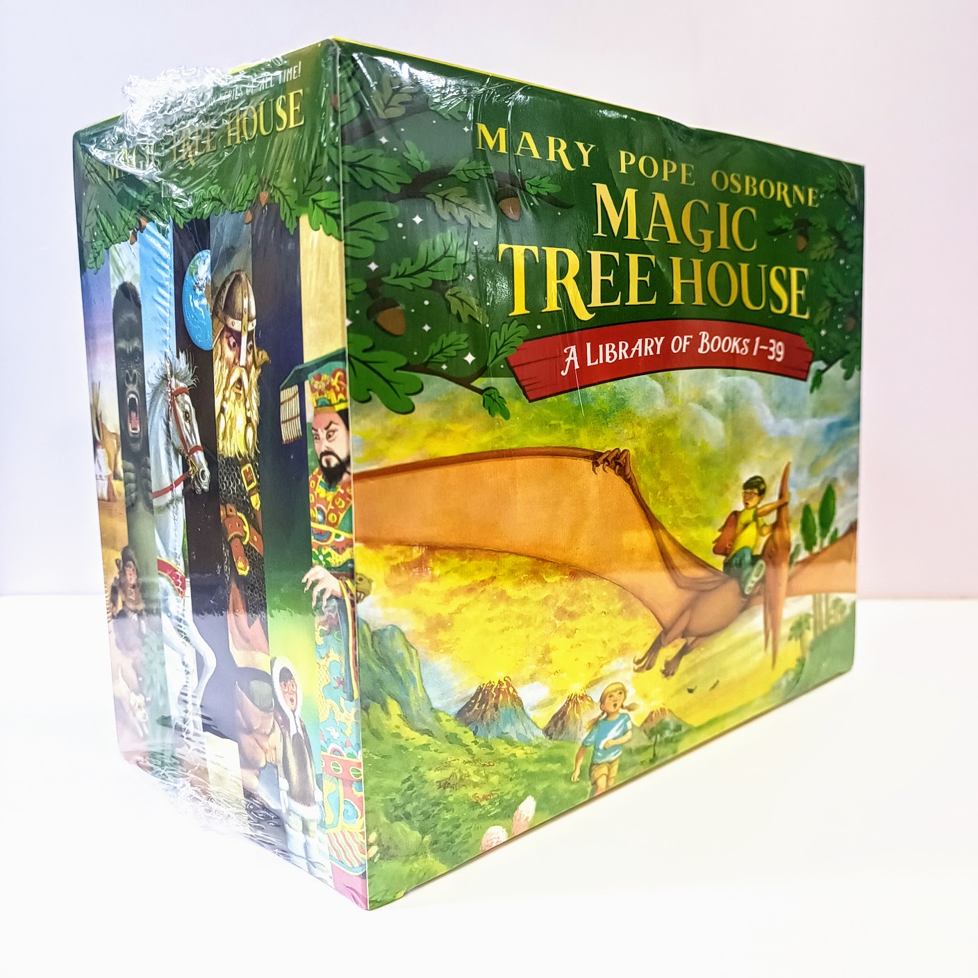 Magic Tree House 1-39   神奇樹屋第一季       英文版繪本帶練習冊   B156