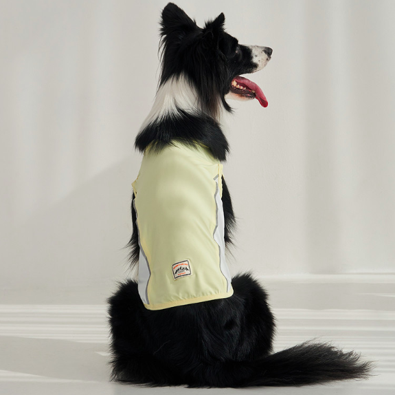 *SuperPet🇰🇷狗狗涼感機能背心