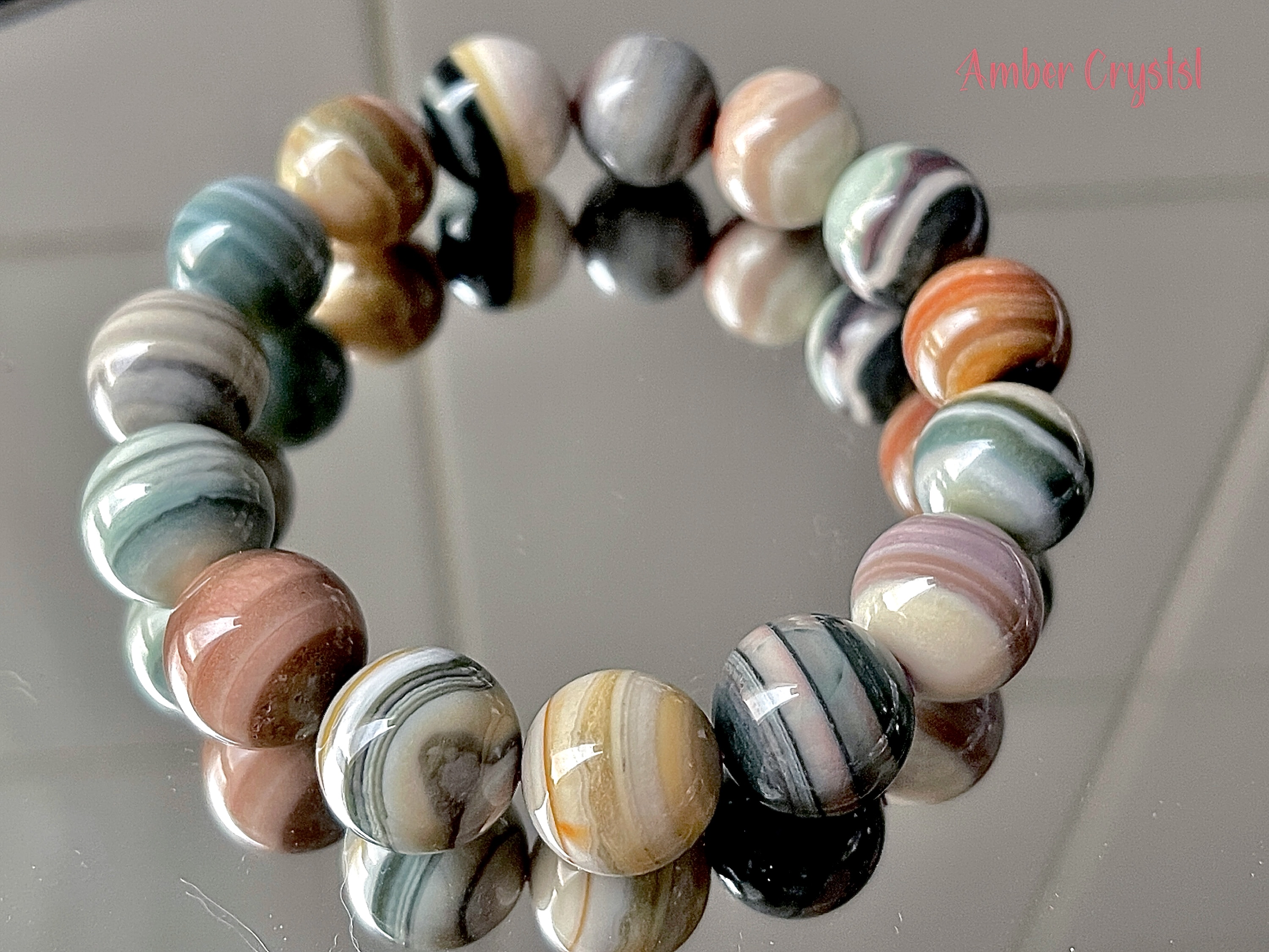 阿拉善左祺千層