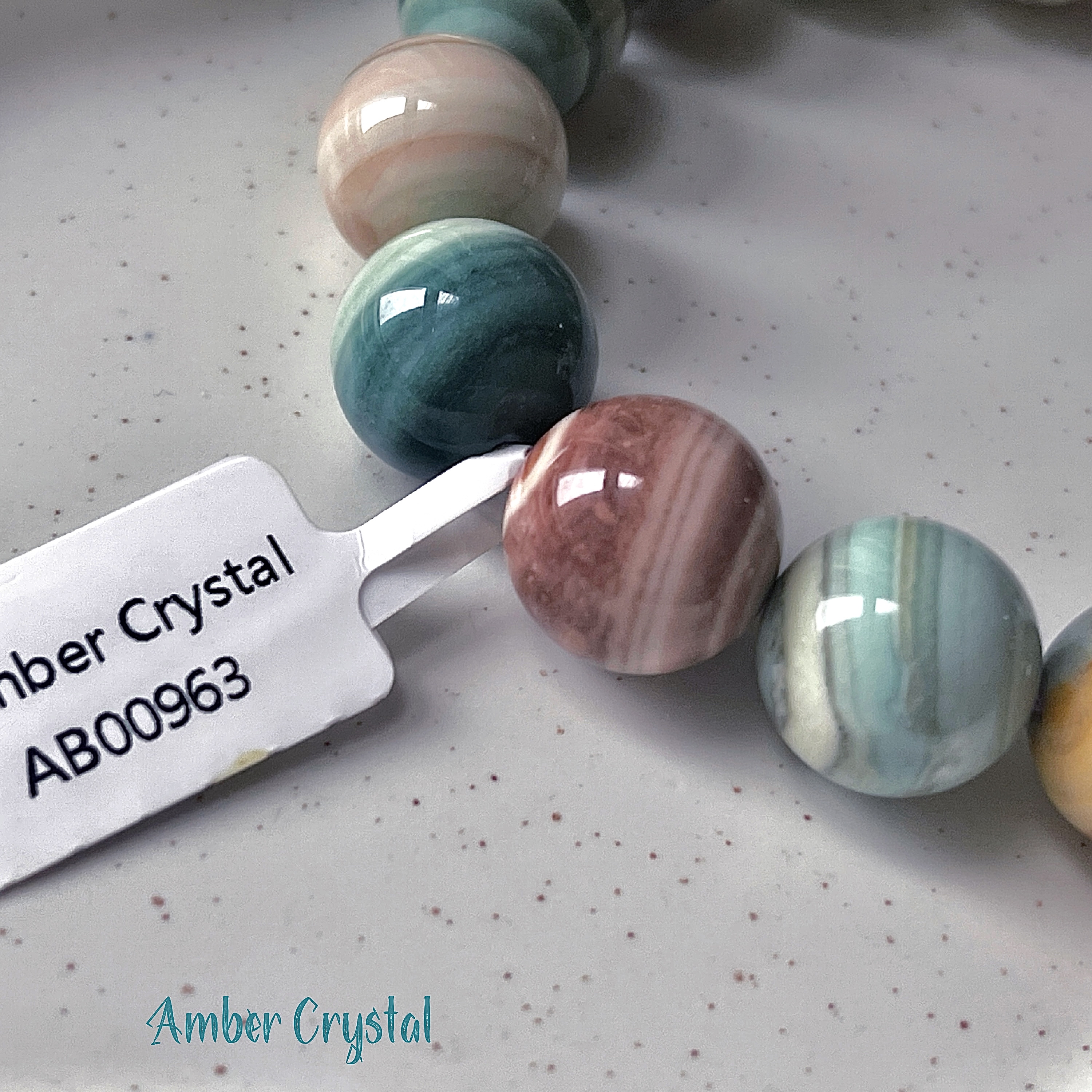 阿拉善左祺千層