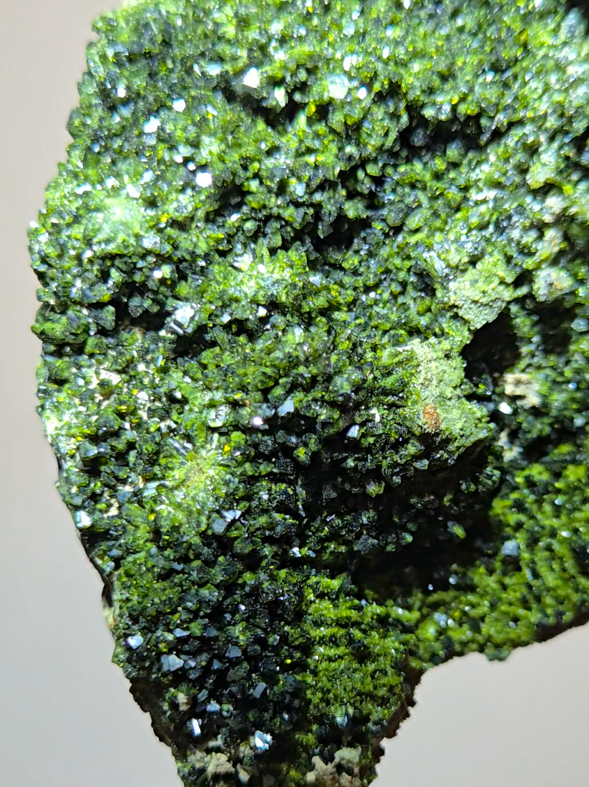Epidote specimen with quartz inclusions - ED5