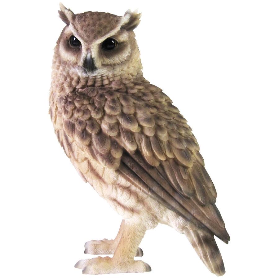 動物樹脂貯金箱-longeared owl