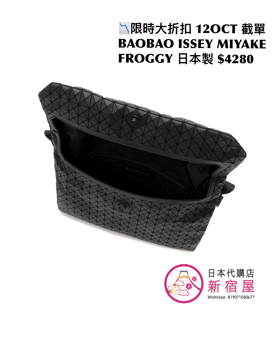 BAOBAO ISSEY MIYAKE FROGGY