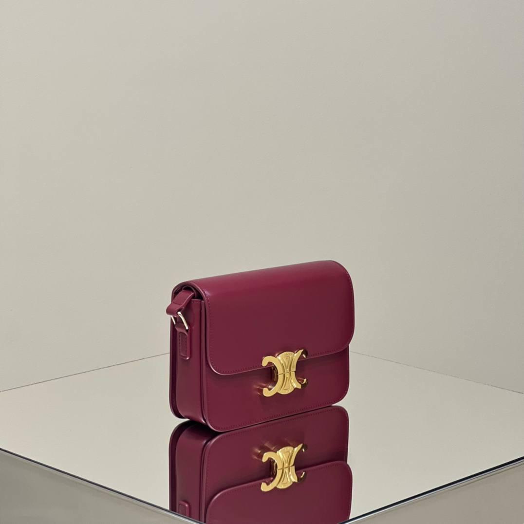 🔥大货实拍图 𝗖𝗘𝗟𝗜𝗡𝗘 ♥ 𝗧𝗘𝗘𝗡 𝗧𝗥𝗜𝗢𝗠𝗣𝗛𝗘 型号：188423 中号尺寸：22.5*16*7cm 小号尺寸：18.5*14*6cm