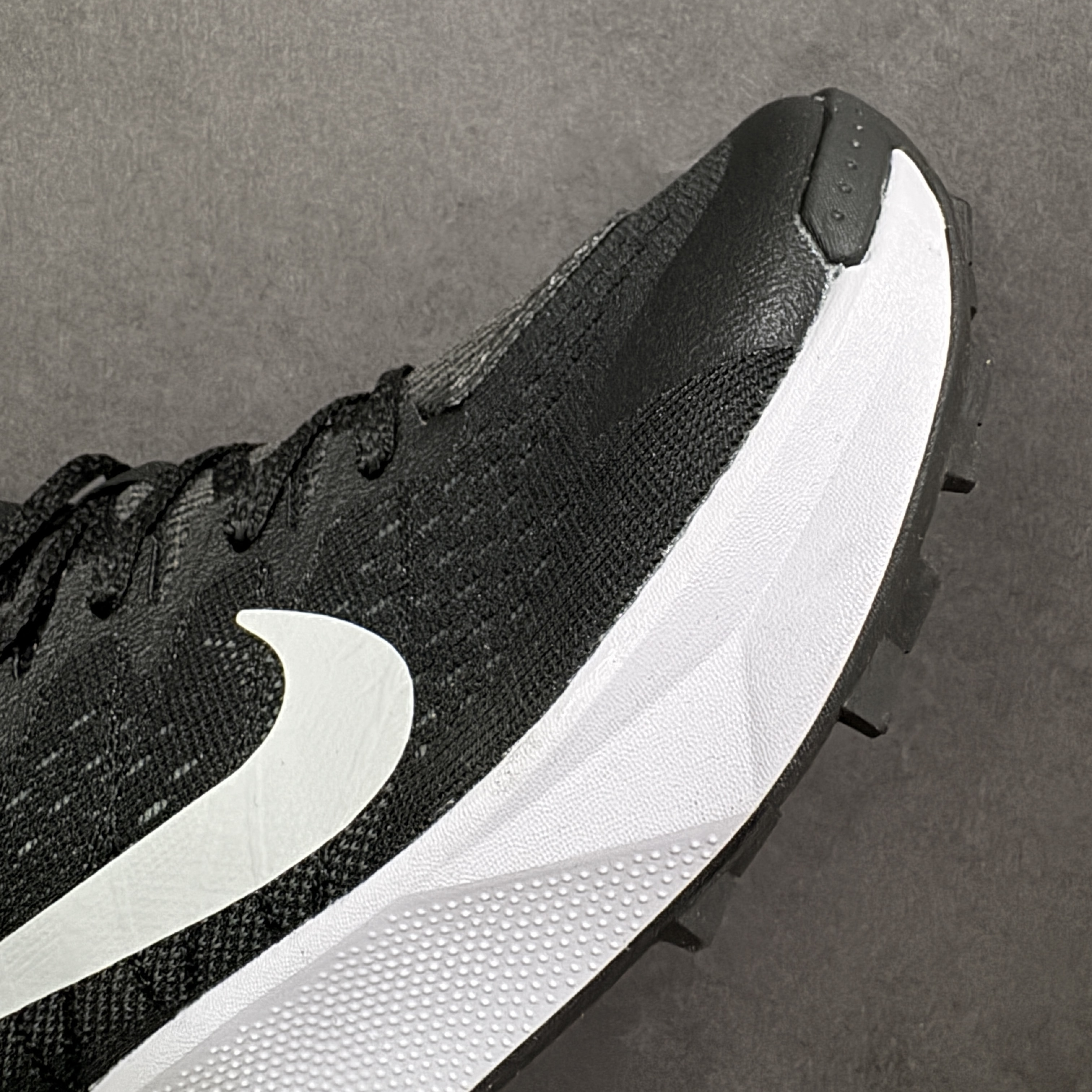 Nike Wildhorse 10 FV2338-001