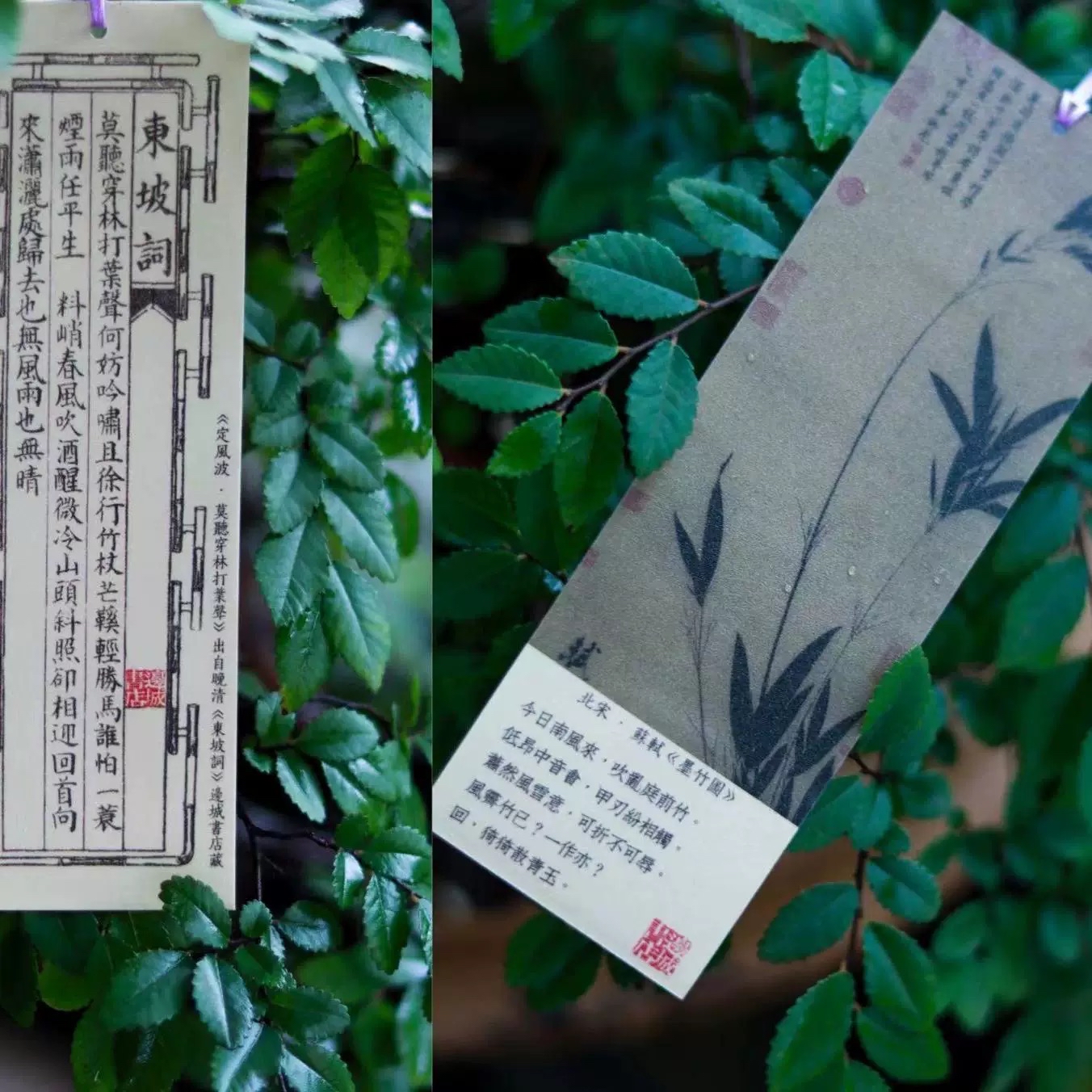 邊城書店 - 東坡詞書簽(一套6枚)