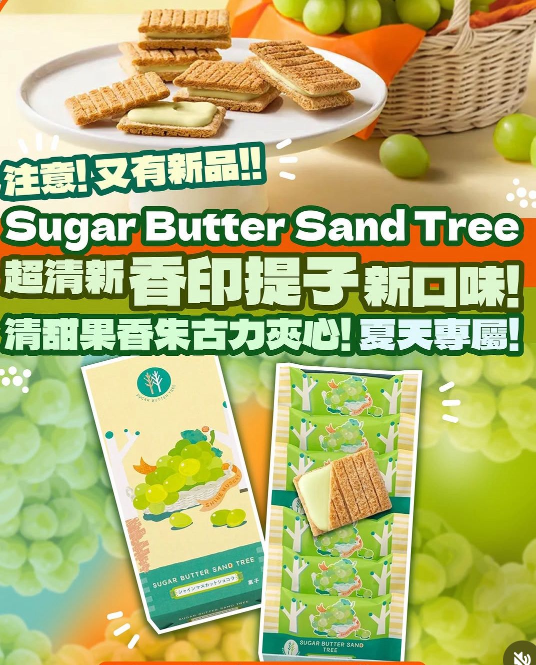 日本直送 【Sugar Butter Sand Tree】麝香提子味丨季節限定 (日本15/4 公開發售)