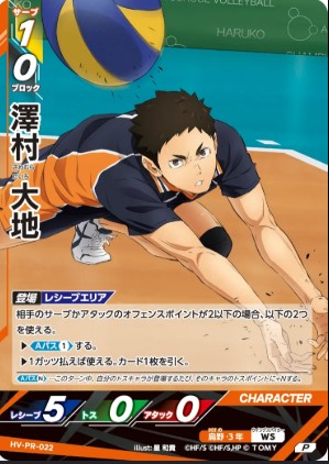 HV-PR-022 澤村 大地 P
