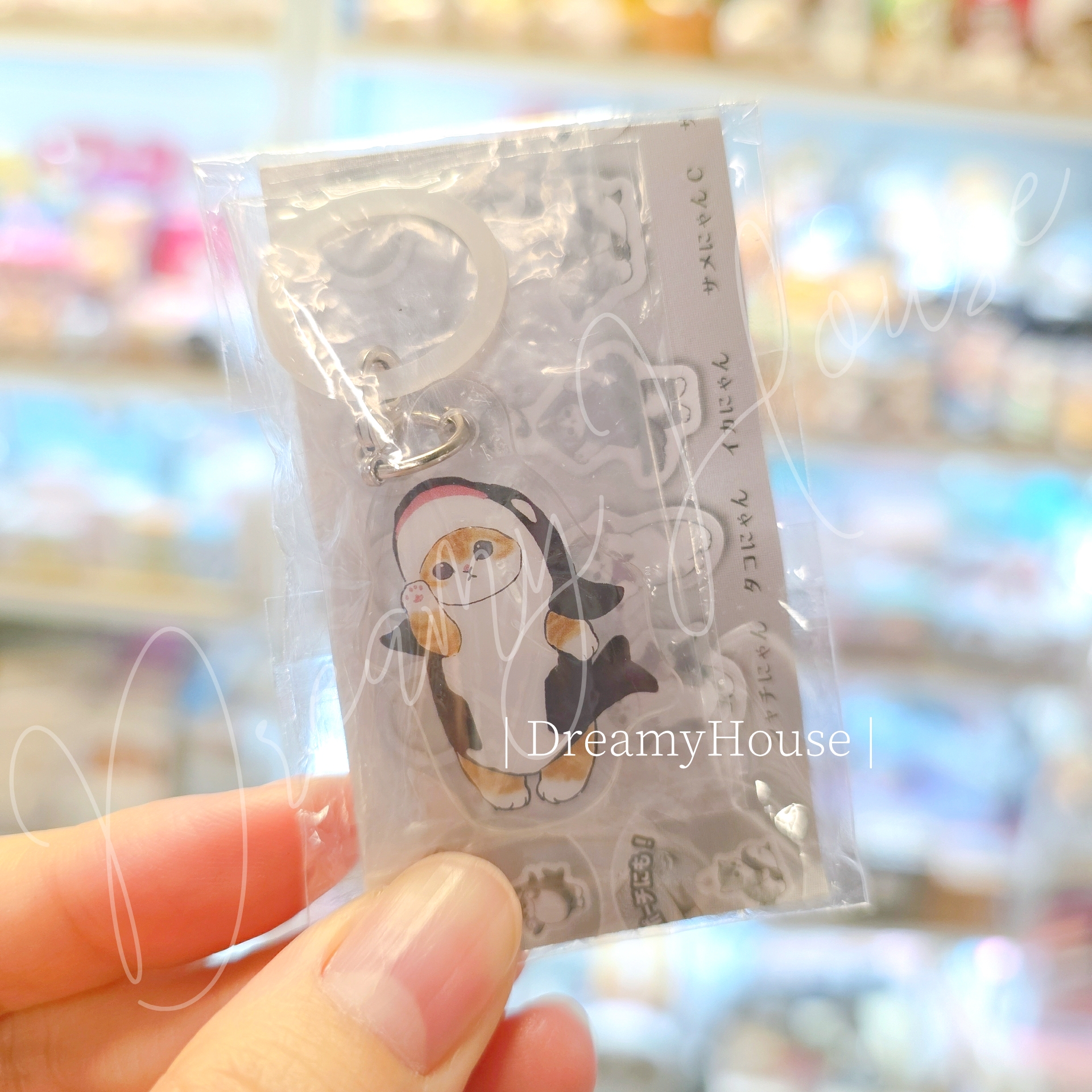 日本 Mofusand貓咪 鯊魚貓 mofumofu store 扭蛋吊飾 雨傘扣