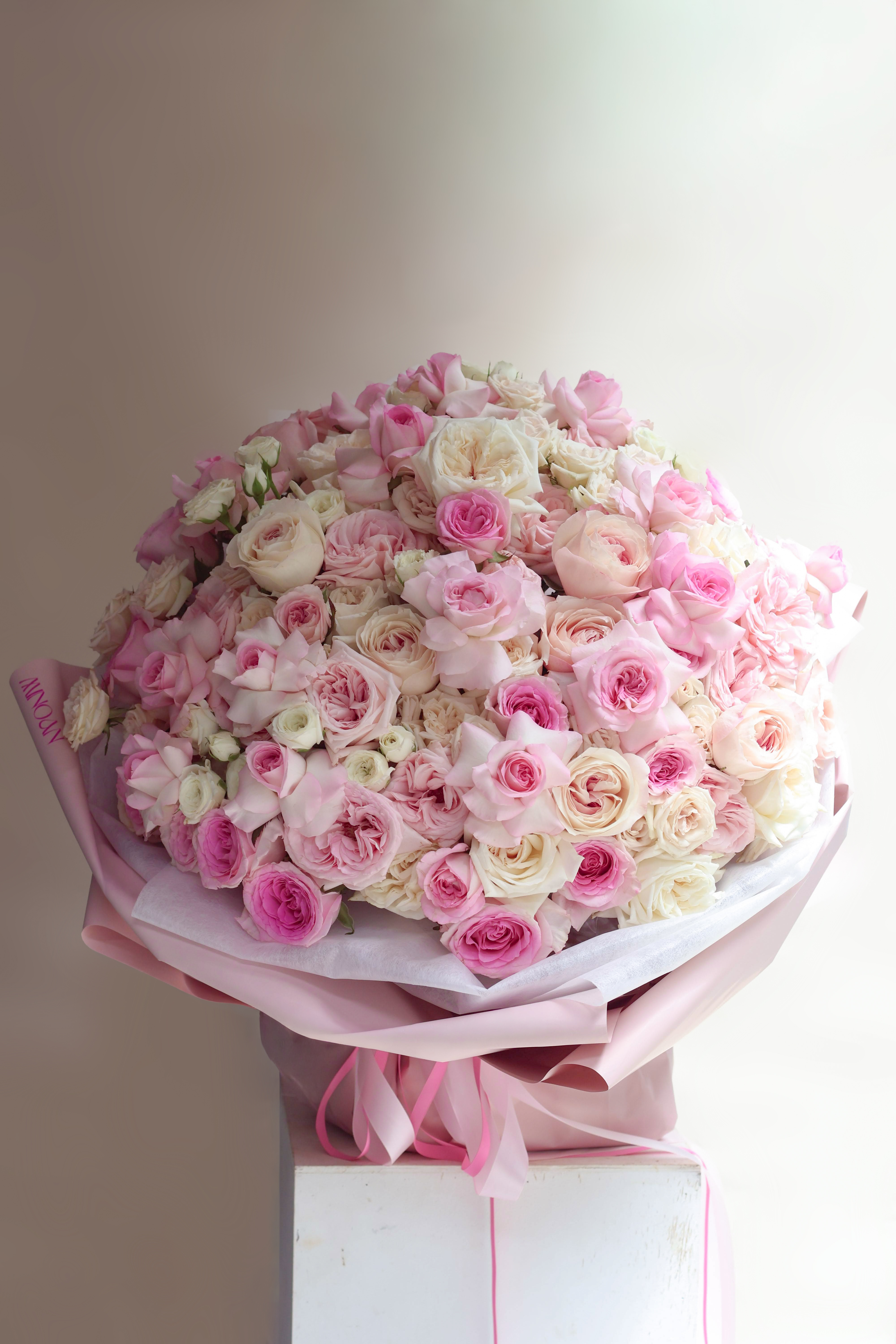 Nid de Rose