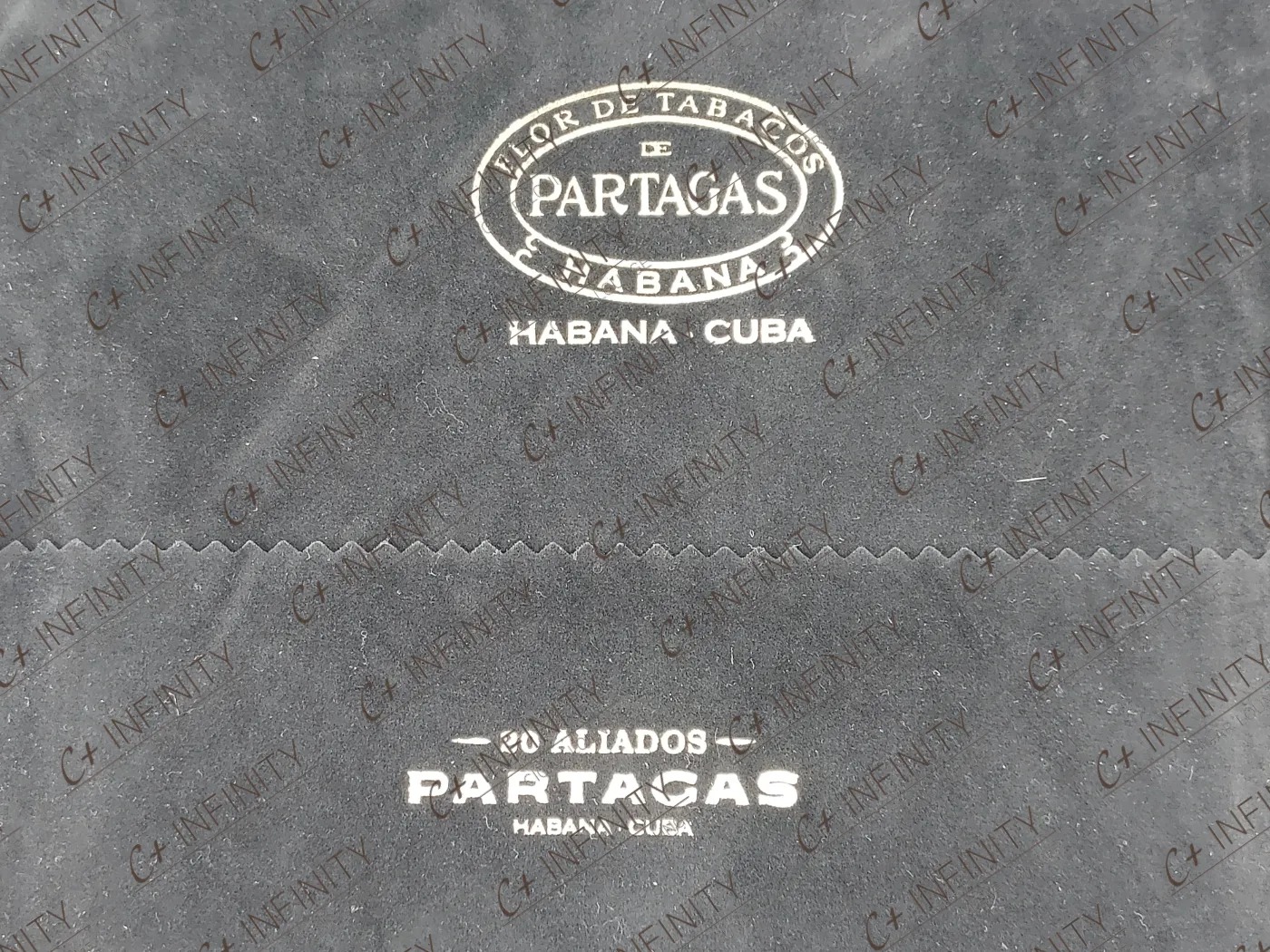 Partagas Aliados (2022 | PCC | LCDH) (20'S)