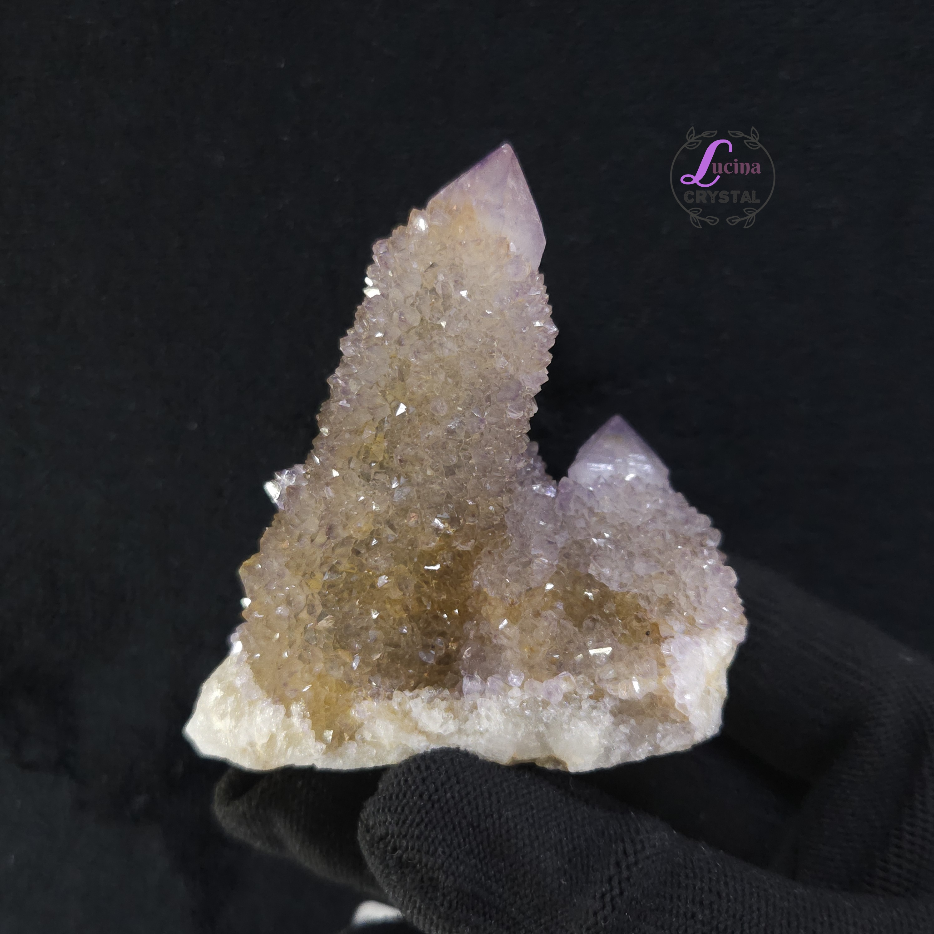 (Co#LC8559) 仙人掌紫水晶/Cactus Amethyst Cluster