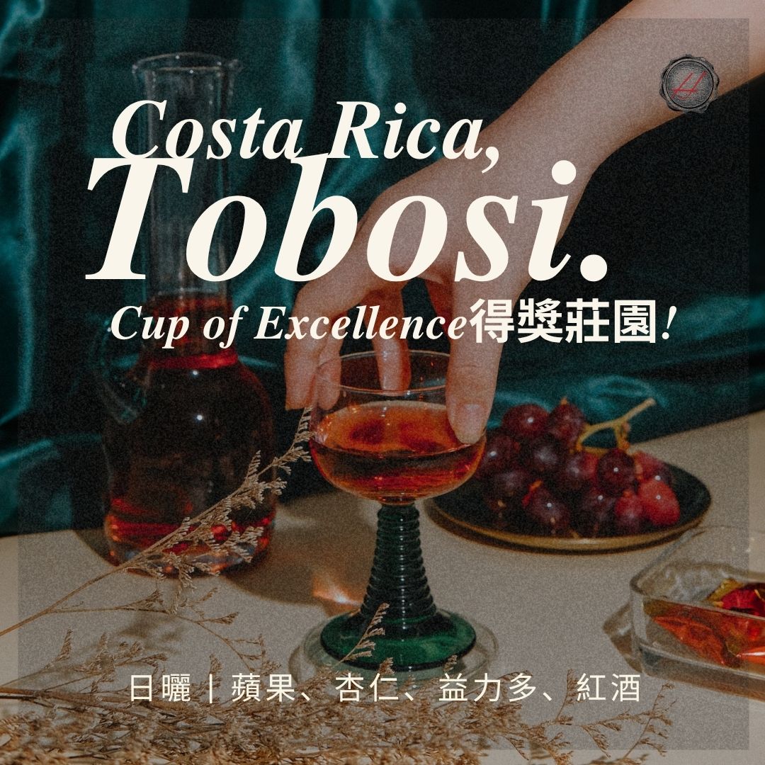 哥斯達黎加．COE．Tobosi