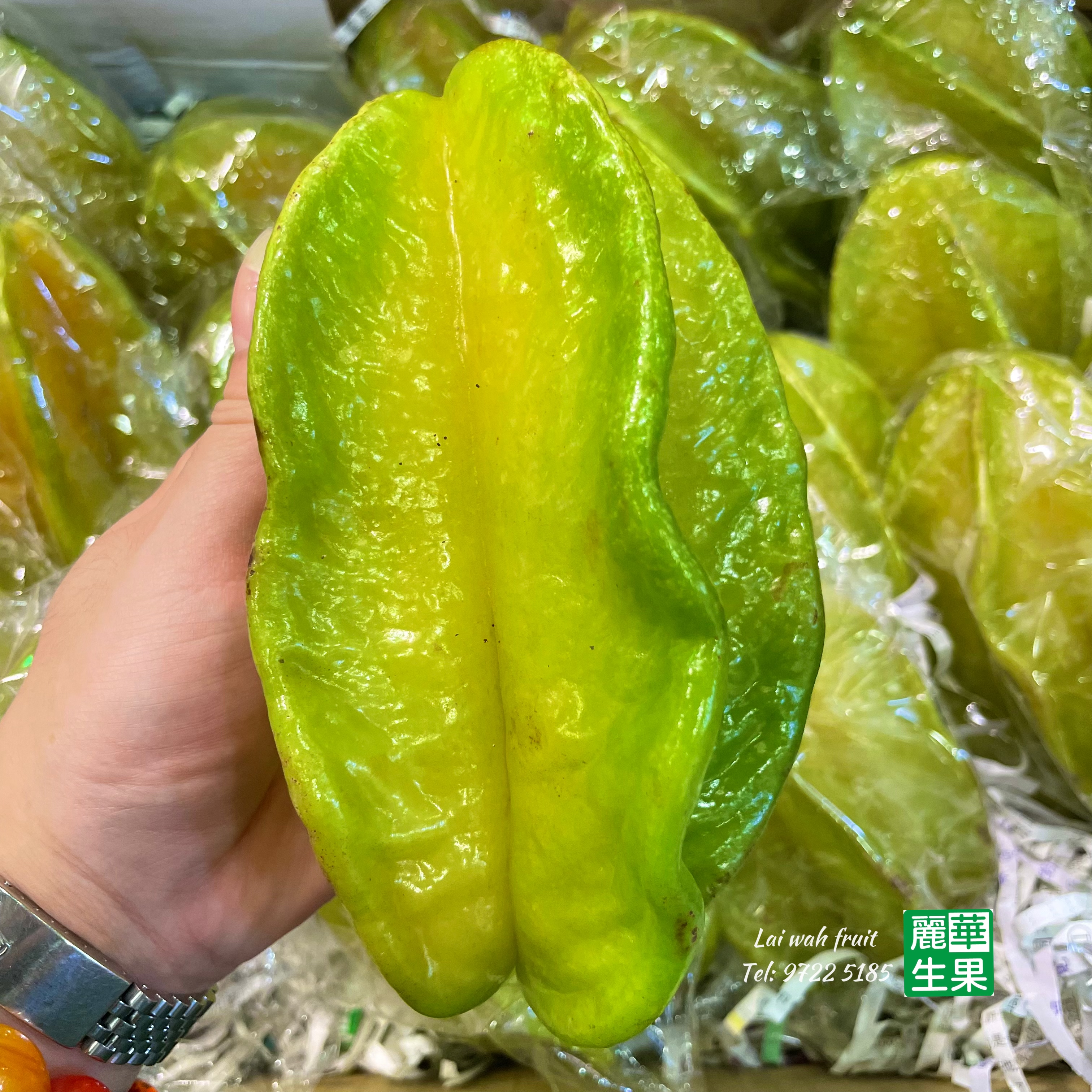 特大【🇹🇼台灣紅龍／金龍楊🌟】$50/2個