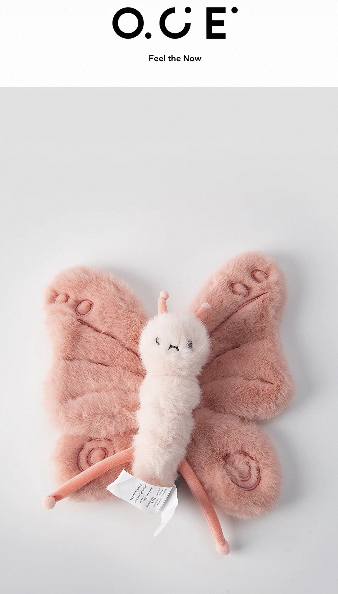 Cutie Insect soft toys 