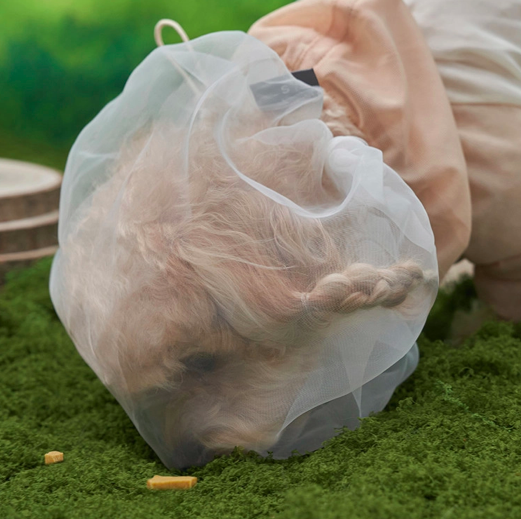 *Super Pet 🇰🇷 狗狗防護面罩 (DG427)