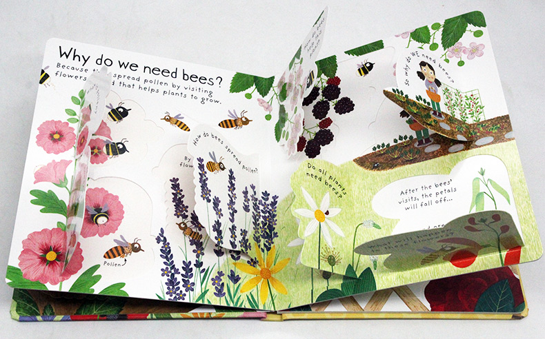 Usborne First Questions and Answers系列翻翻書 Why Do We Need Bees 為什麼需要蜜蜂