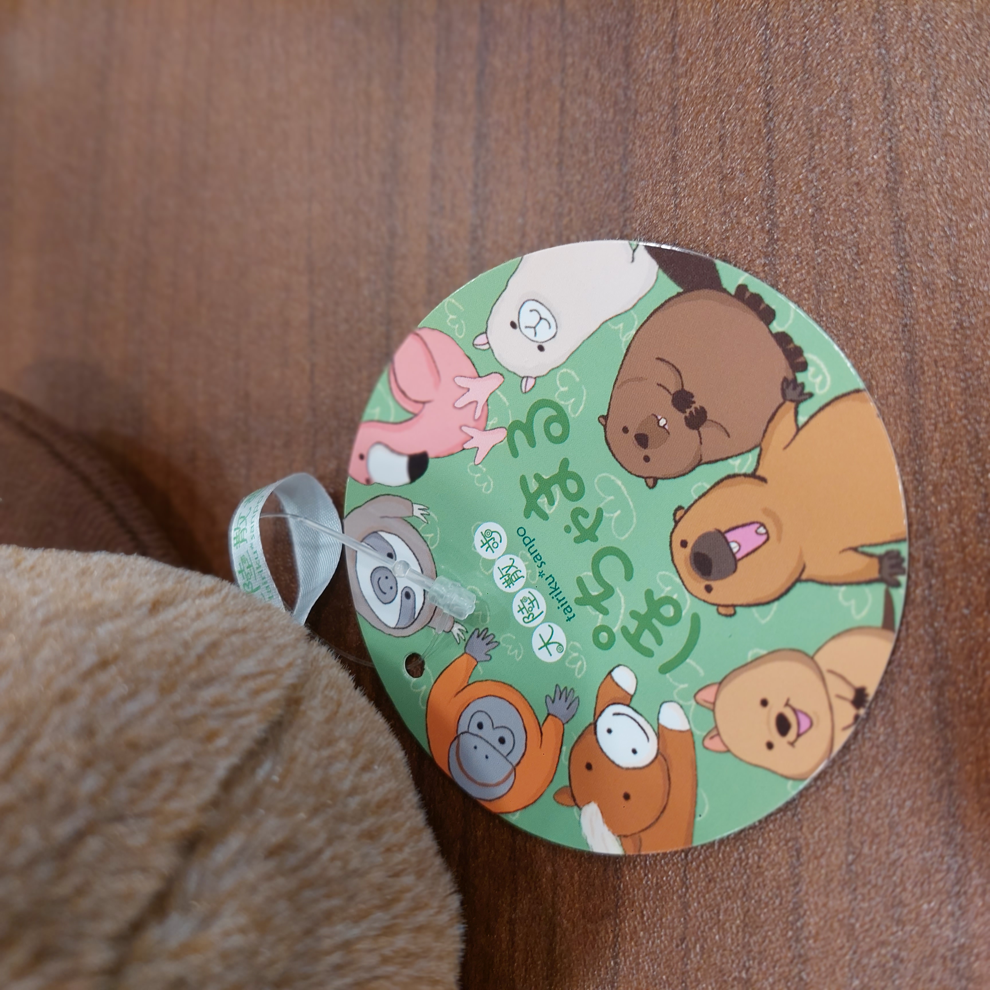 原裝日本可愛之選 土撥鼠 ＆ 小海狸公仔Beaver ＆ Marmot 小公仔 11- 12cm