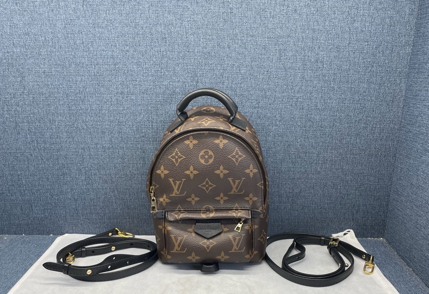 【預訂貨品】LV老花mini書包