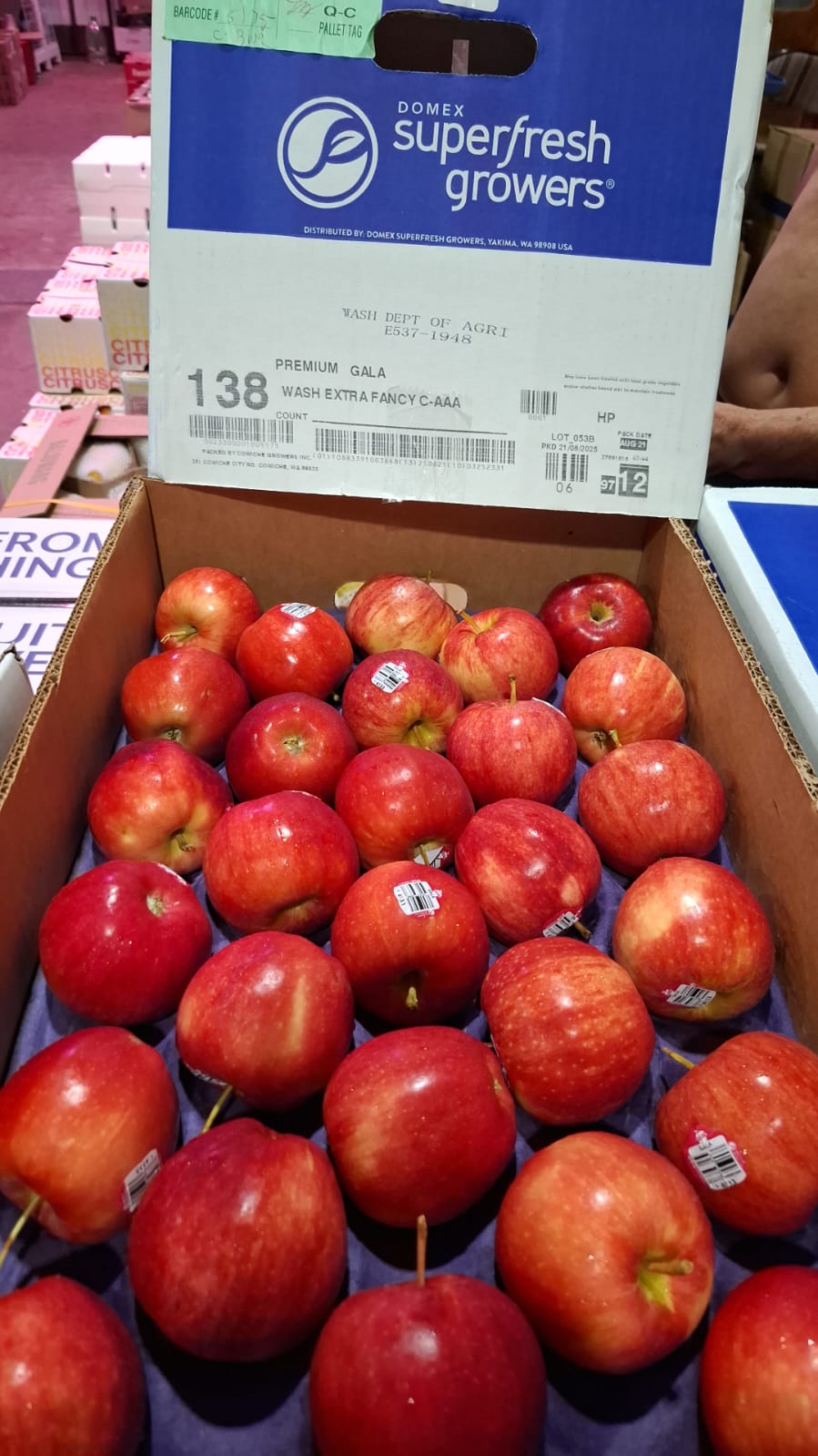 美國加拿苹果 每份3個