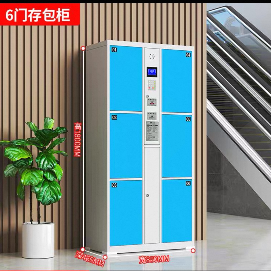 超市電子儲物櫃 學校商場人臉條碼智能寄存櫃 指紋掃碼儲物櫃 Storage locker
