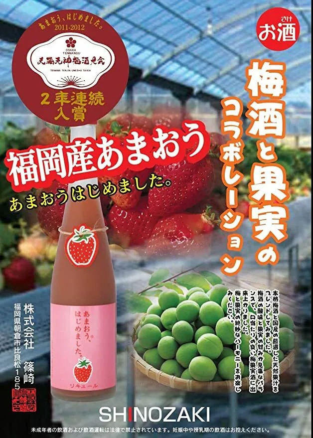 篠崎 白桃梅酒 - 福岡 8% 500ml (無盒) (1x6x500ml)