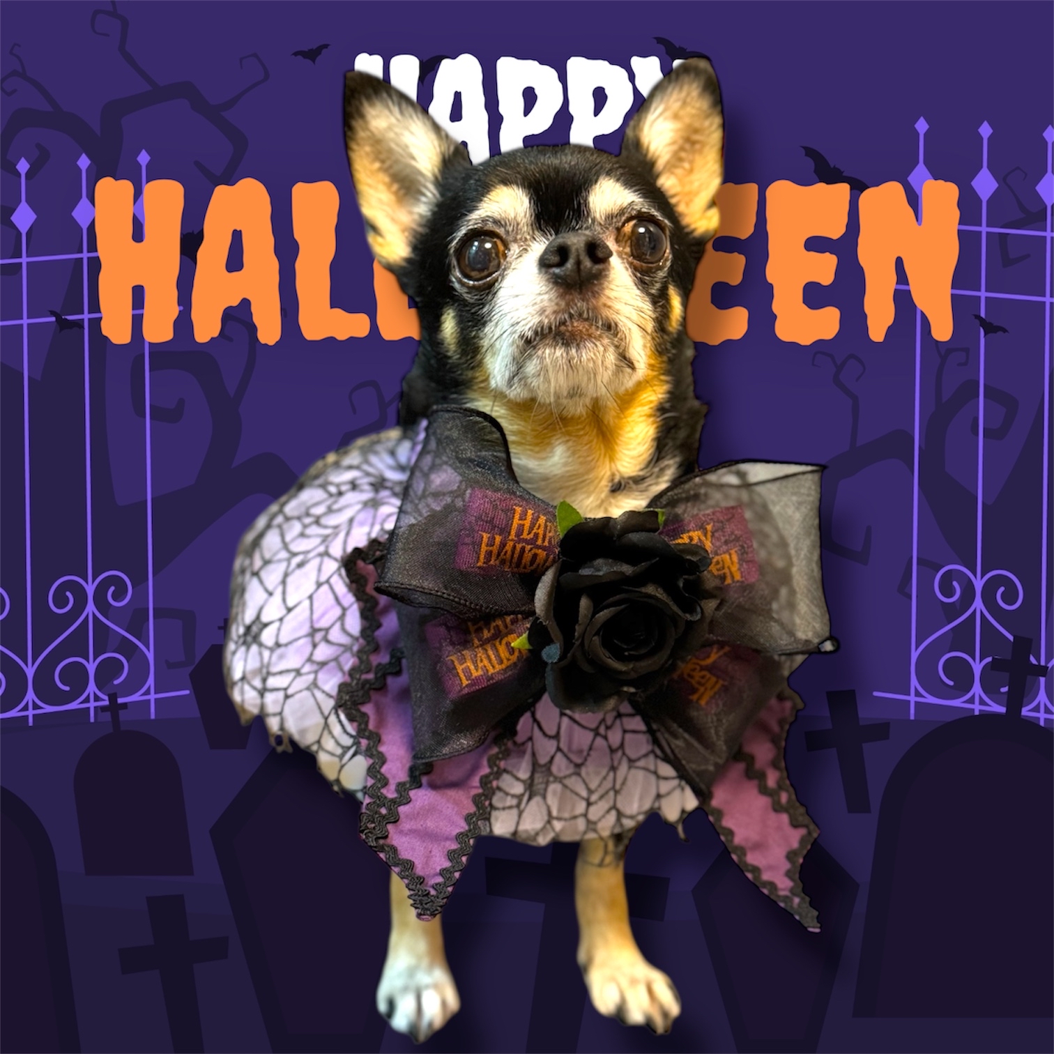 寵物手作 Halloween 暗黑者 歌德風 頸飾