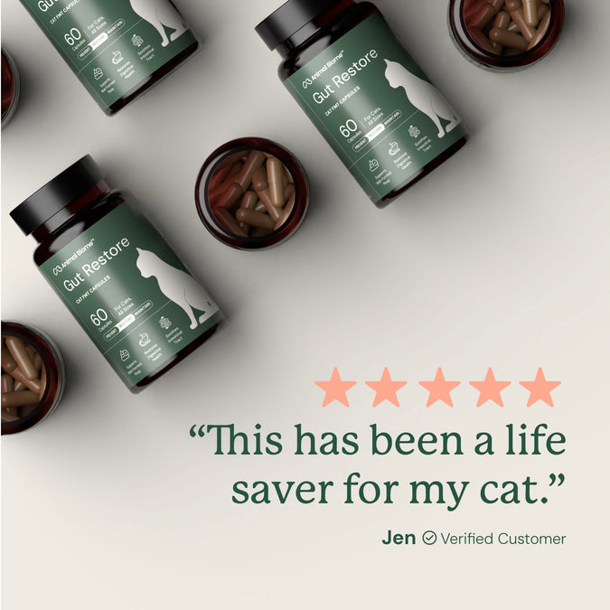 AnimalBiome : Gut Restore for Cats [最新存貨情況請參閱下列商品介紹]