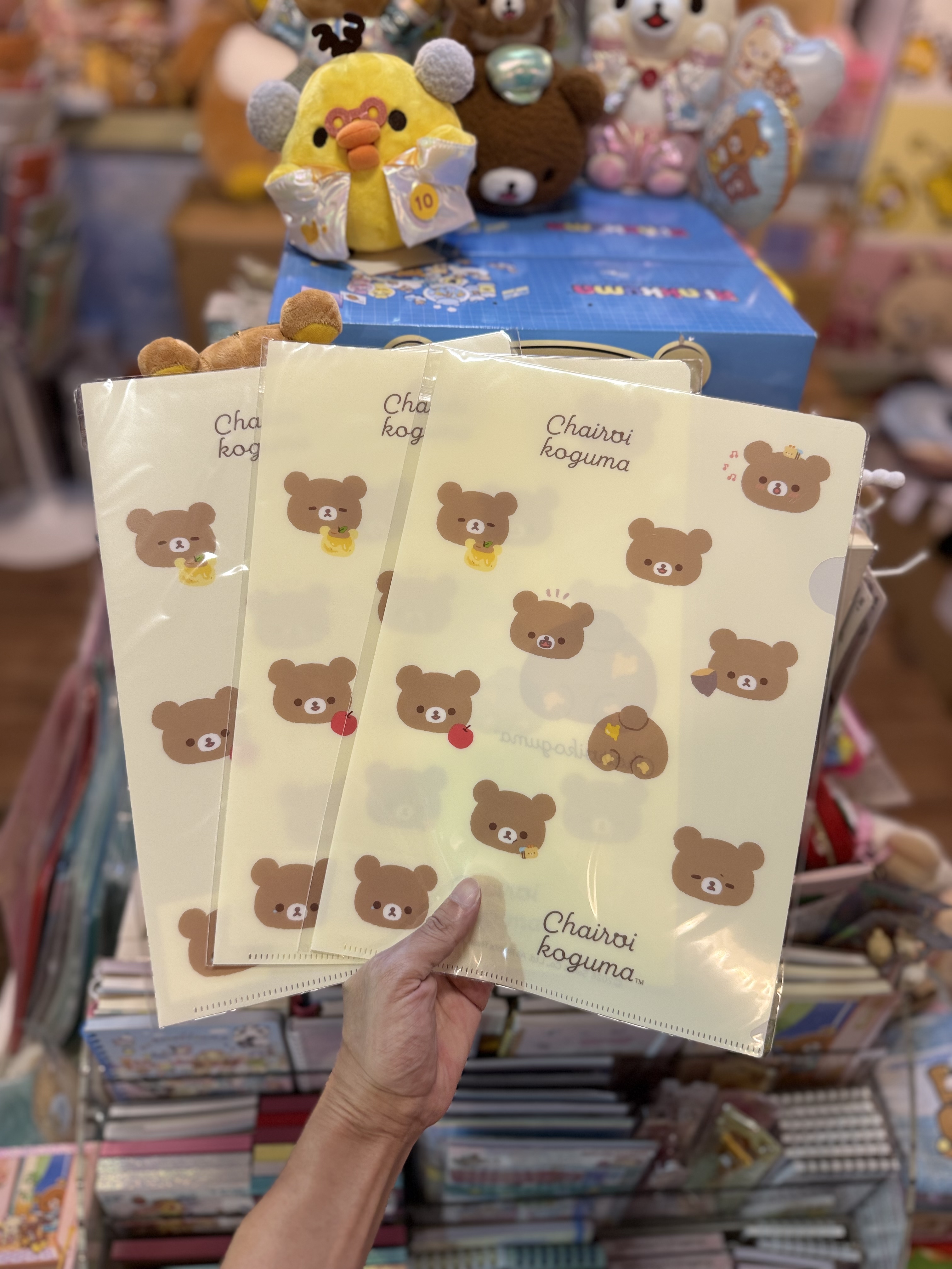 《現貨》全新日本專店限定小熊10週年 小熊A4 file