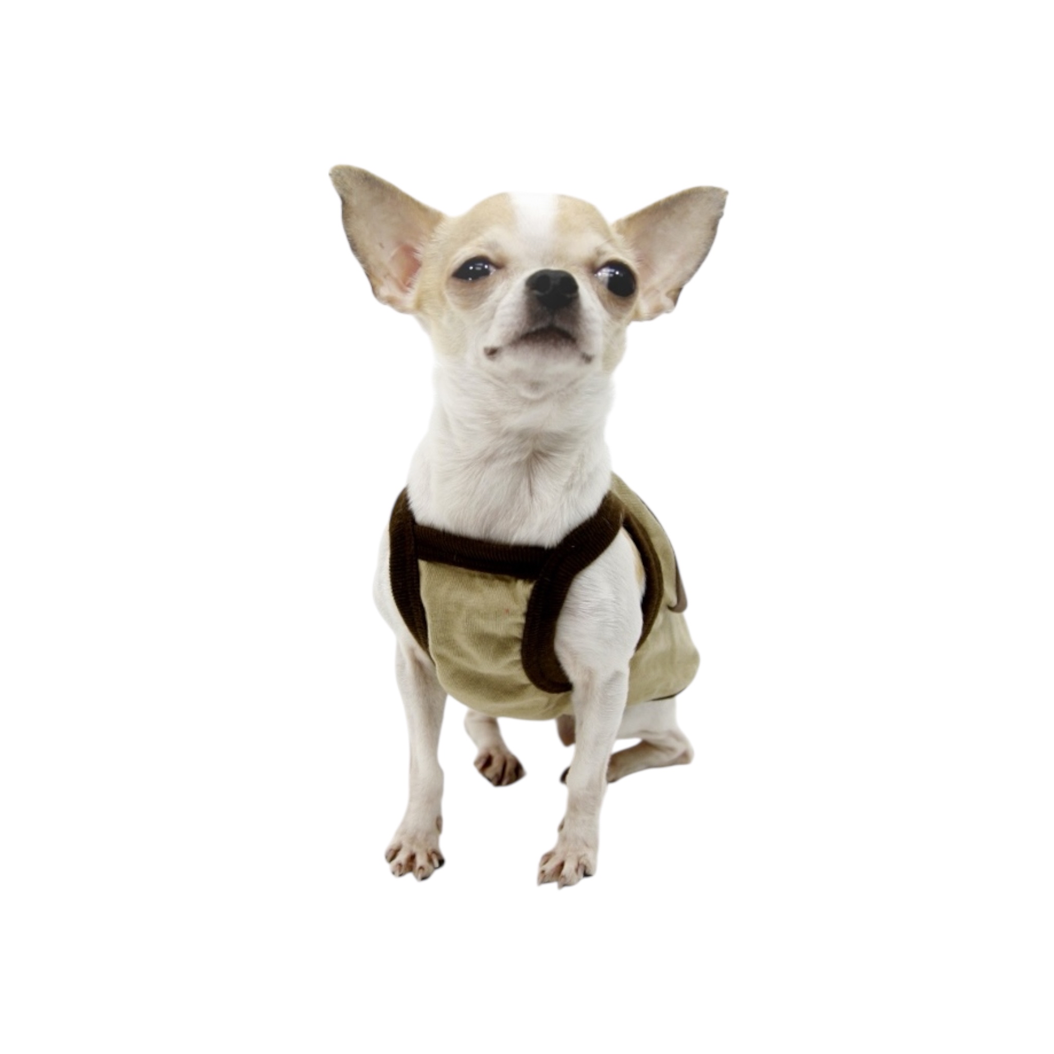 S452BE 蘑茹背心 mushroom vest