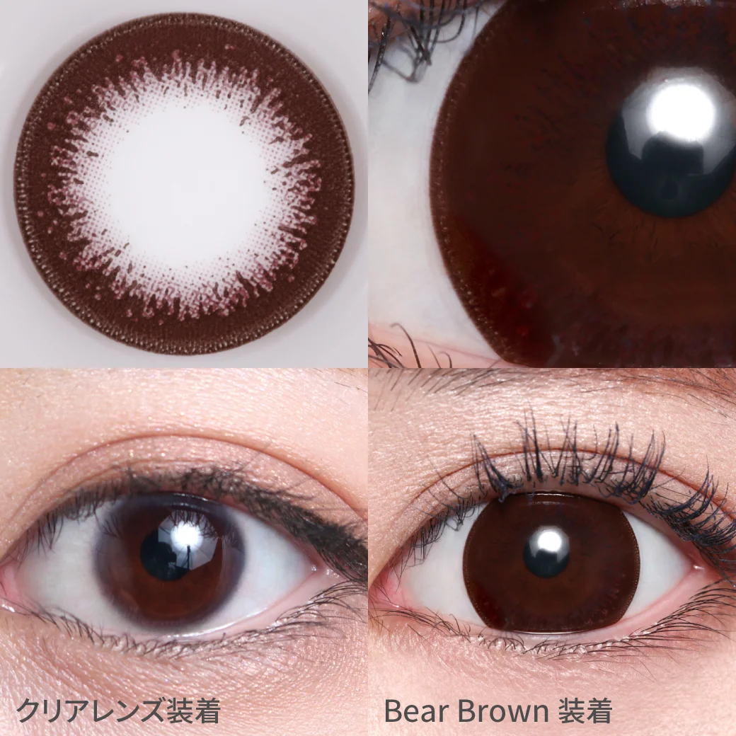TeAmo - Melt Kiss Bear Brown (1day/10P)