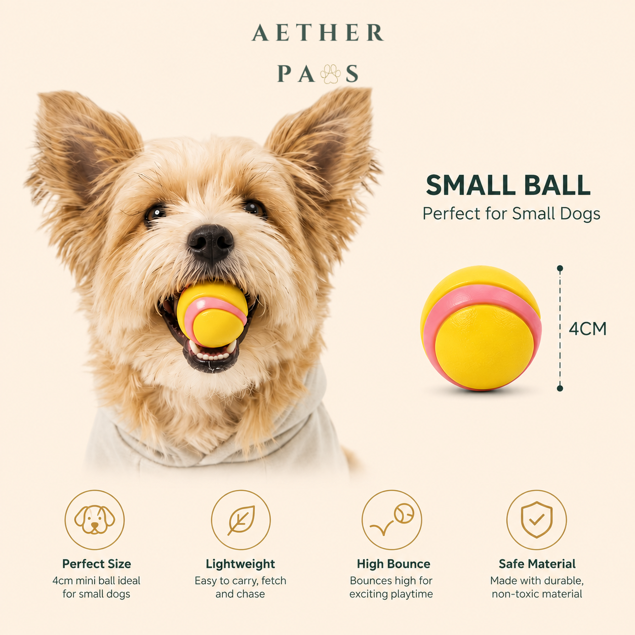 Jump Duo Fetch Ball