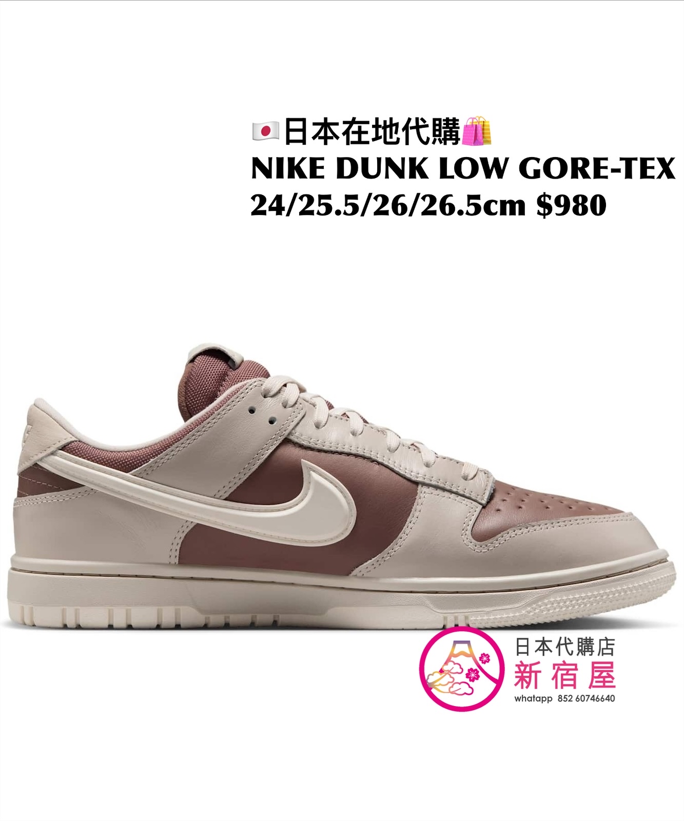 NIKE DUNK LOW GORE-TEX