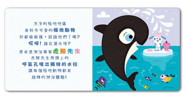 禾流 Never Touch! 極地動物偷偷摸