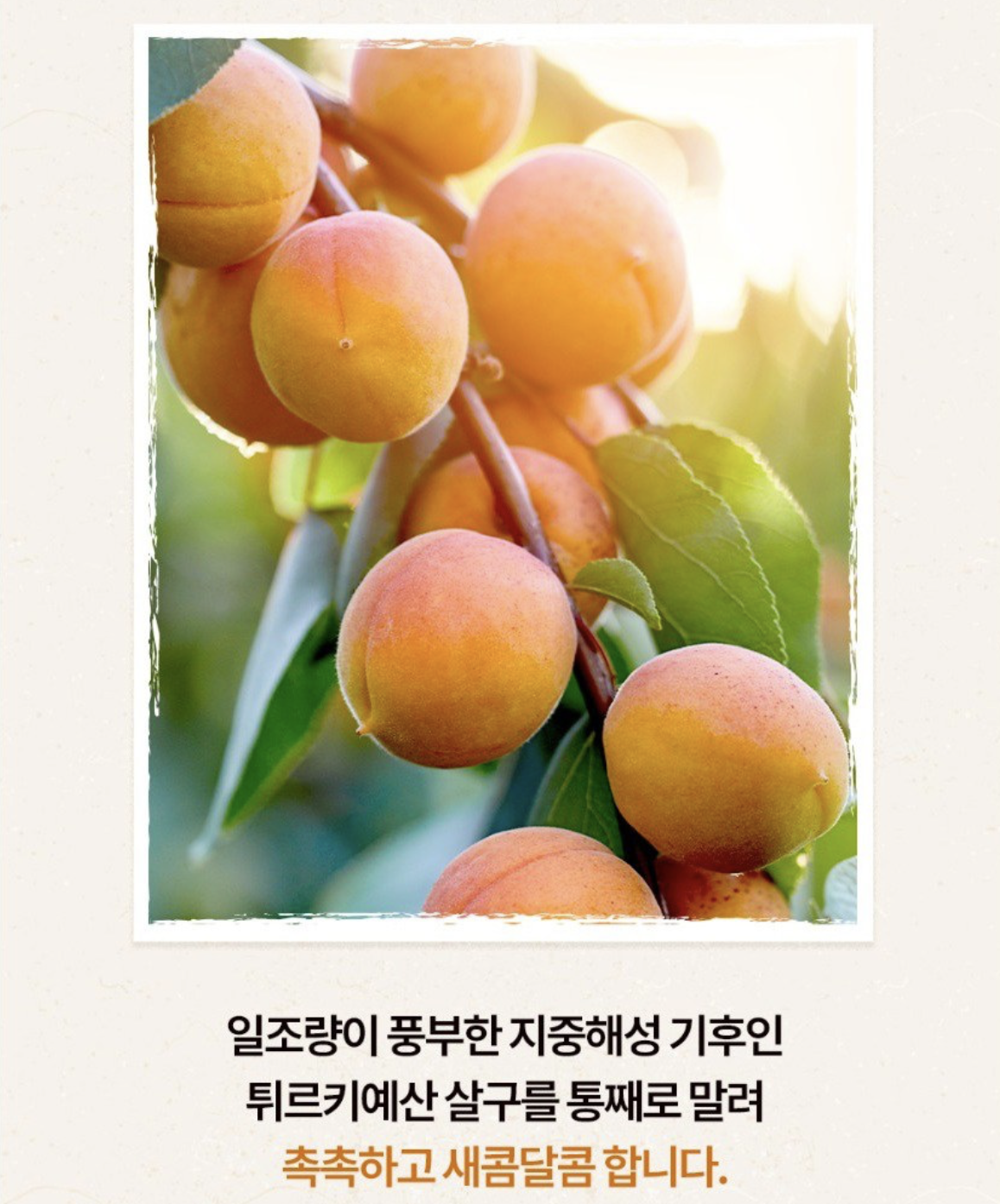 補血養顏｜韓國 Taylor 美國 天然杏脯乾 170g / 袋｜Dried Apricots