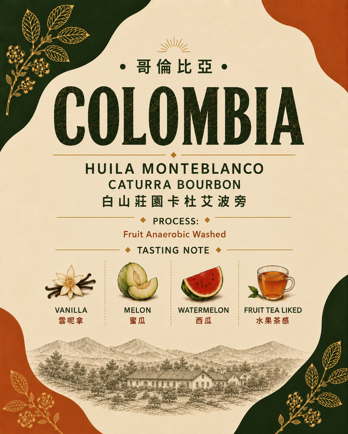 【哥倫比亞 Colombia】Huila Monteblanco Caturra Bourbon