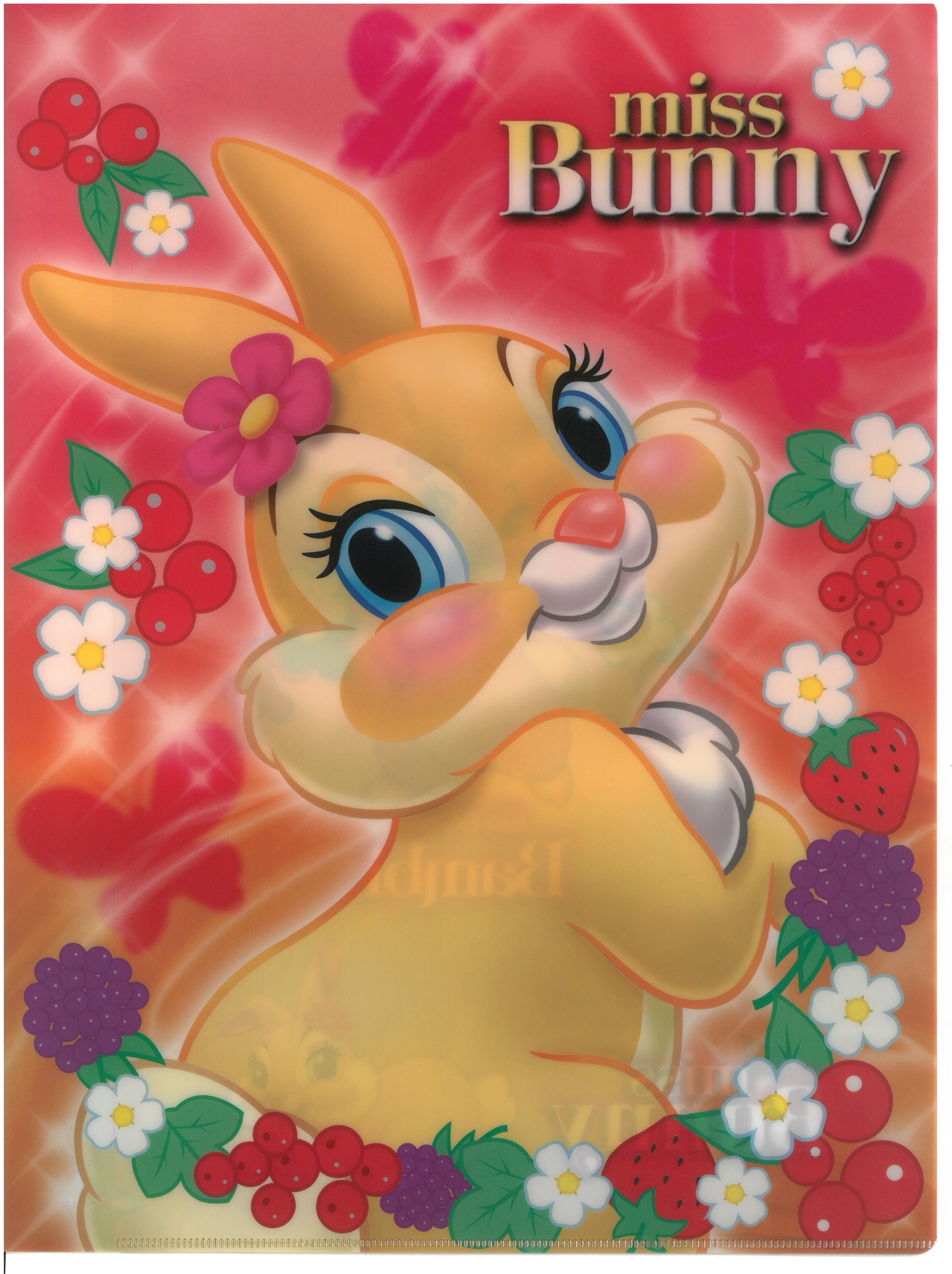 Miss Bunny A4雙開文件夾 (2129-876)