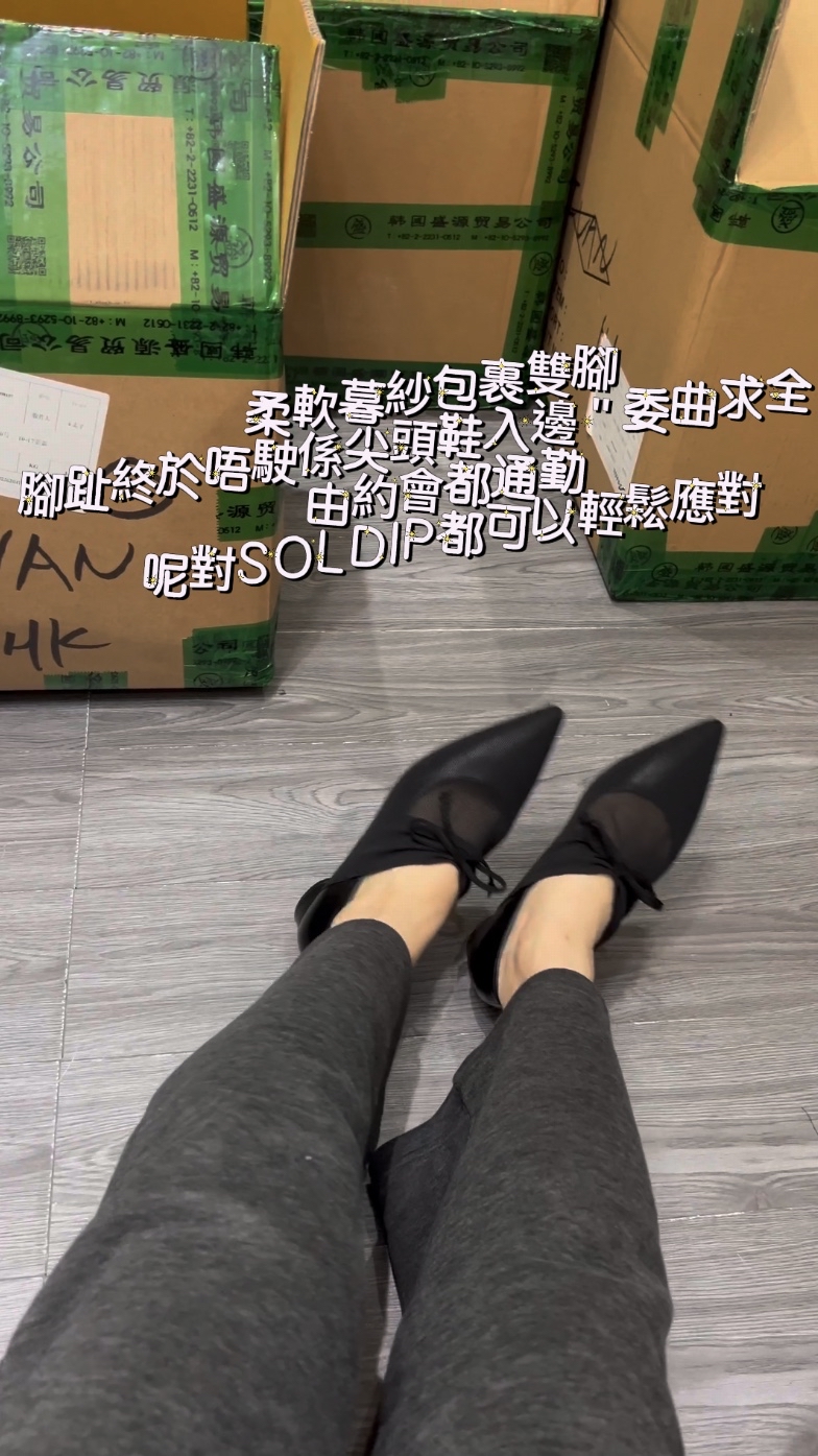 S001🇰🇷韓國超人氣暮紗尖頭鞋