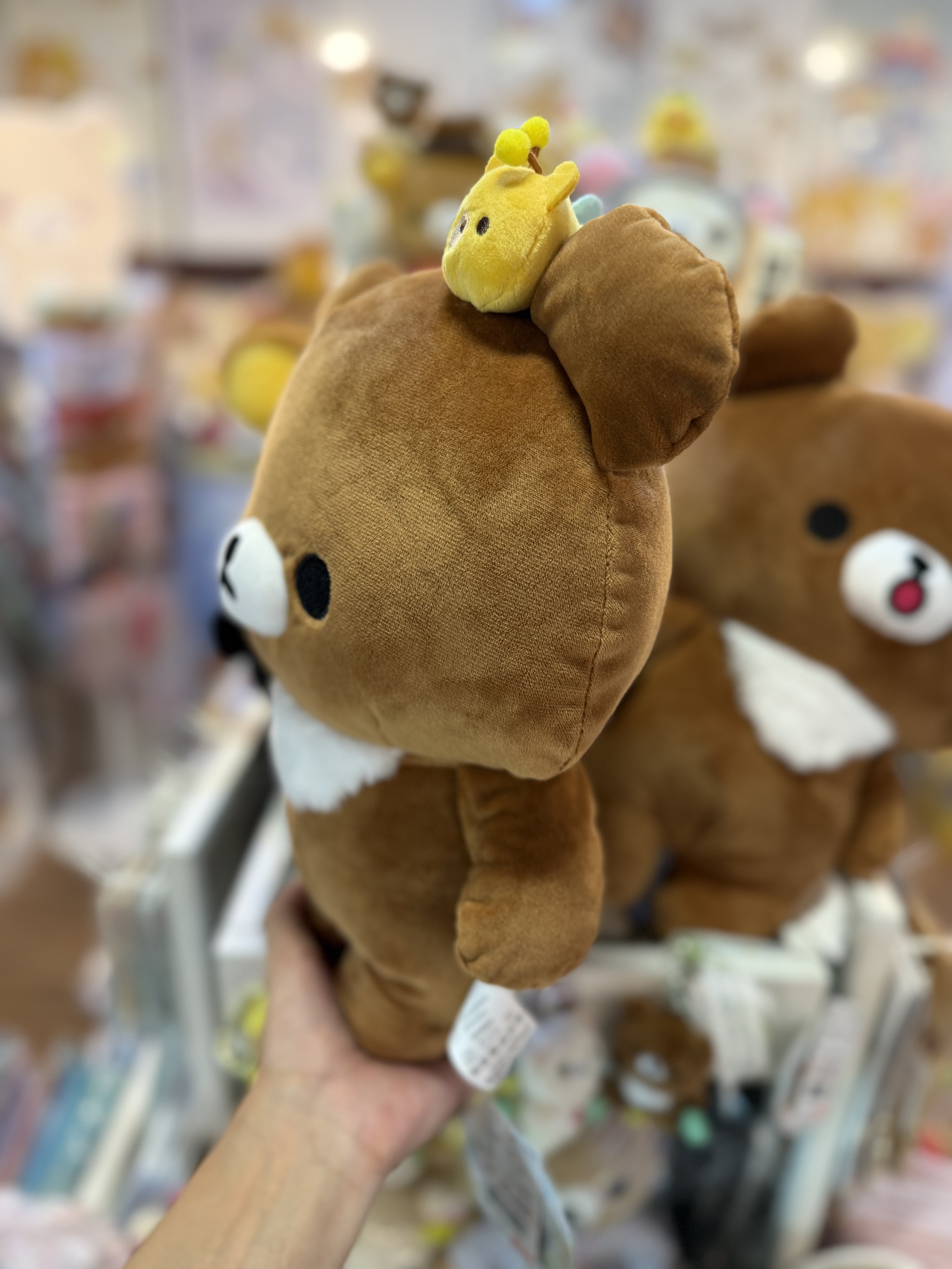 《現貨》全新日本限定小熊10週年紀念系列 茶小熊公仔