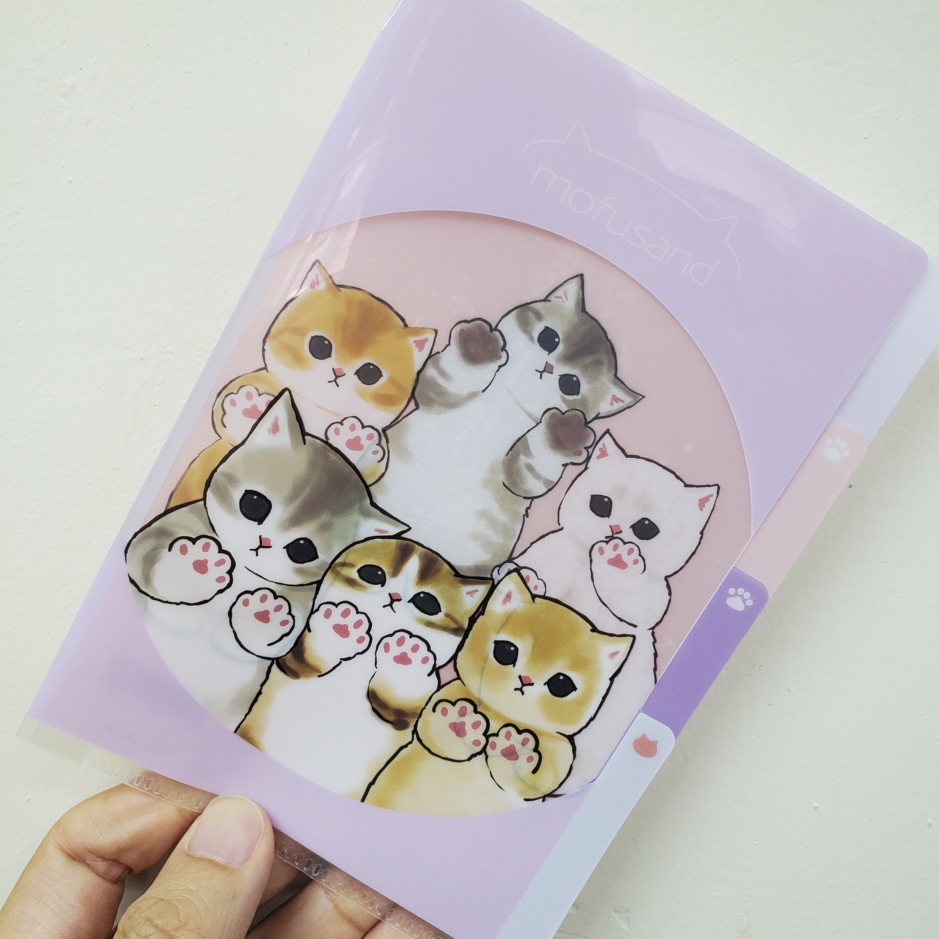 [現貨] [日本直送] MOFUSAND | 鯊魚貓 ｜ MINI FILE {TF2310154}