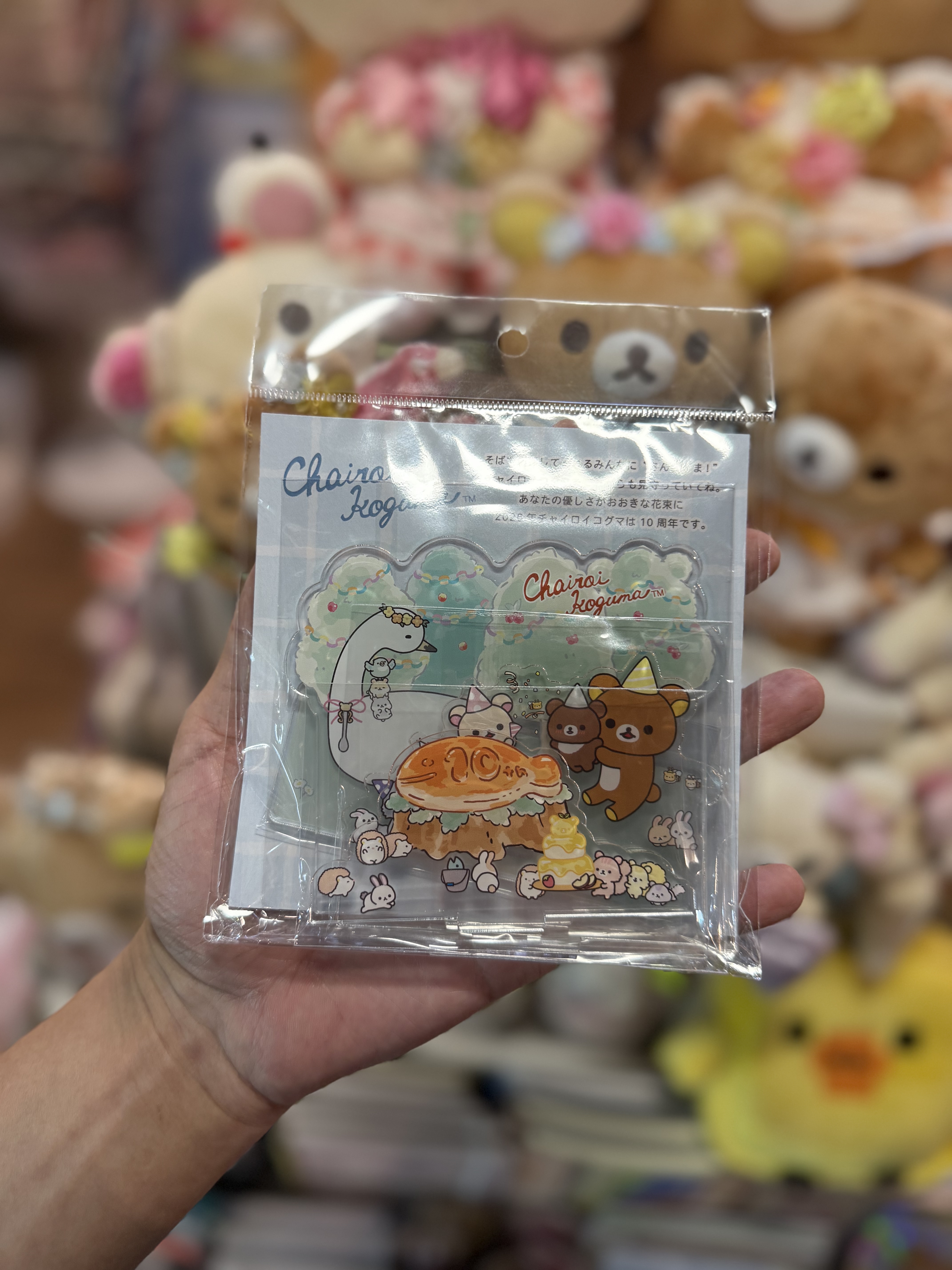 《現貨》全新日本專店限定 小熊10週年紀念立牌