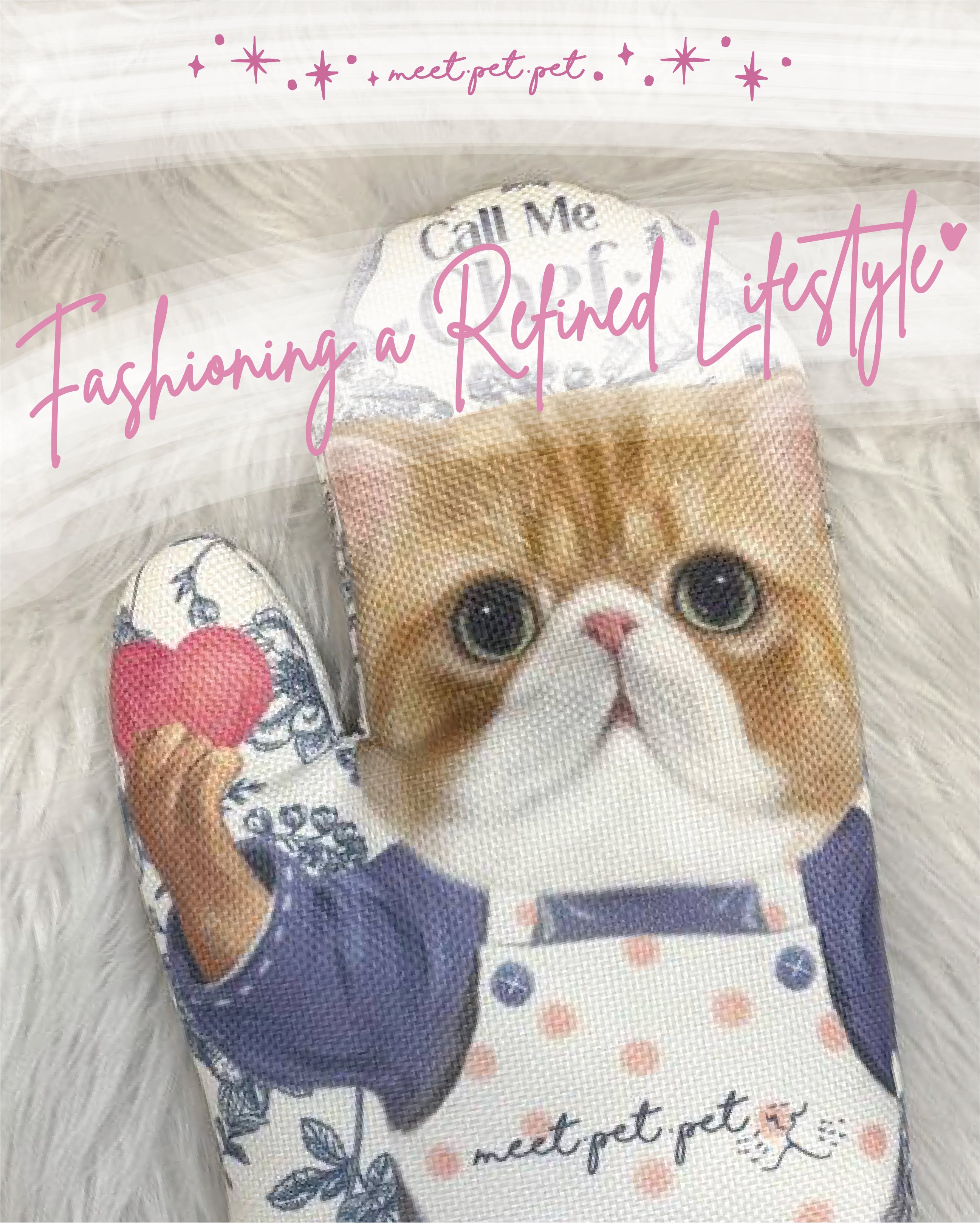 ⋆ 異國短毛 ⋆ 隔熱手套 ⋆ Exotic Shorthair ⋆