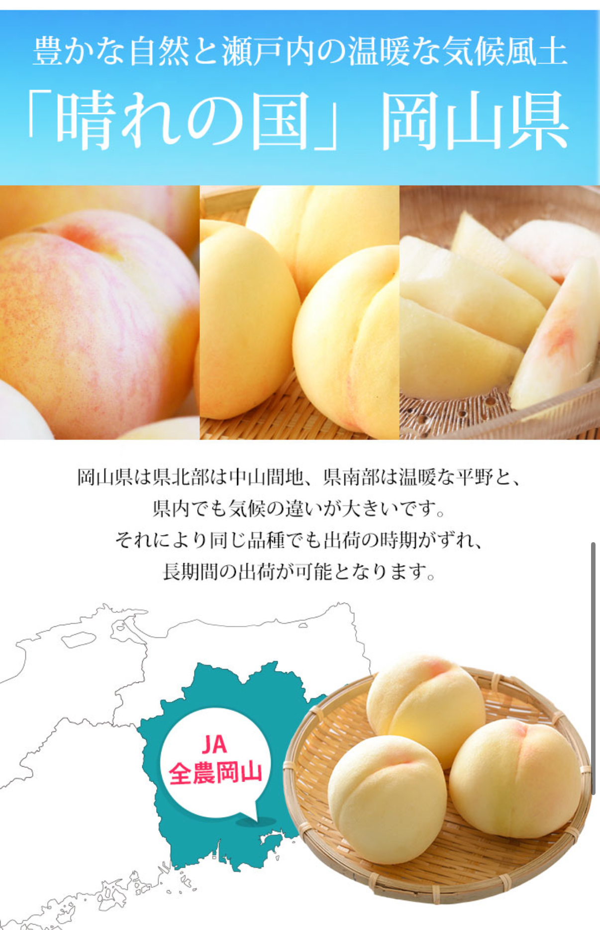 日本直送✈️✈️ 🍑 【水蜜桃界的優雅女王】👸🏼12個裝 