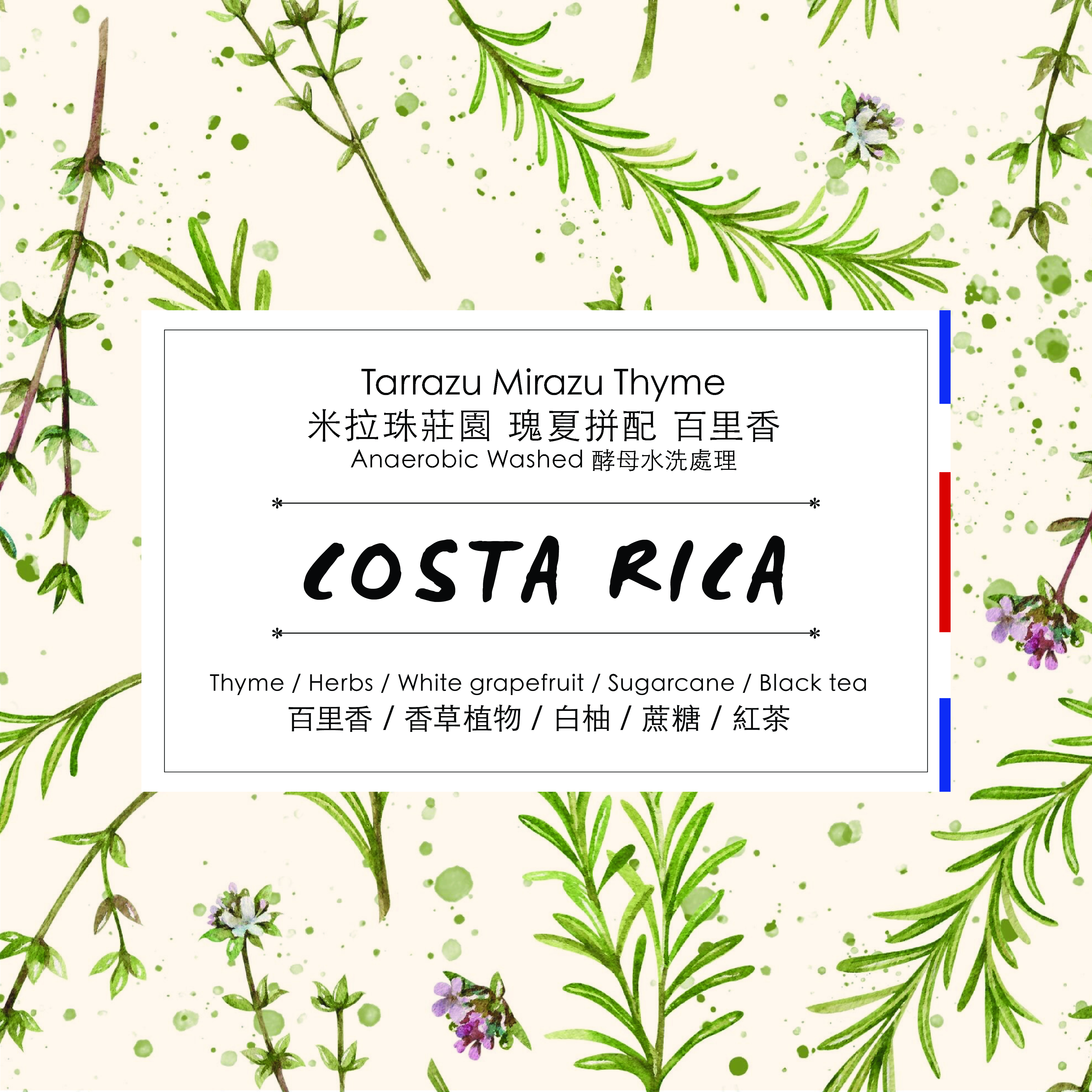 ( 手沖 )  Costa Rica - Tarrazu Mirazu Thyme Anaerobic Washed
