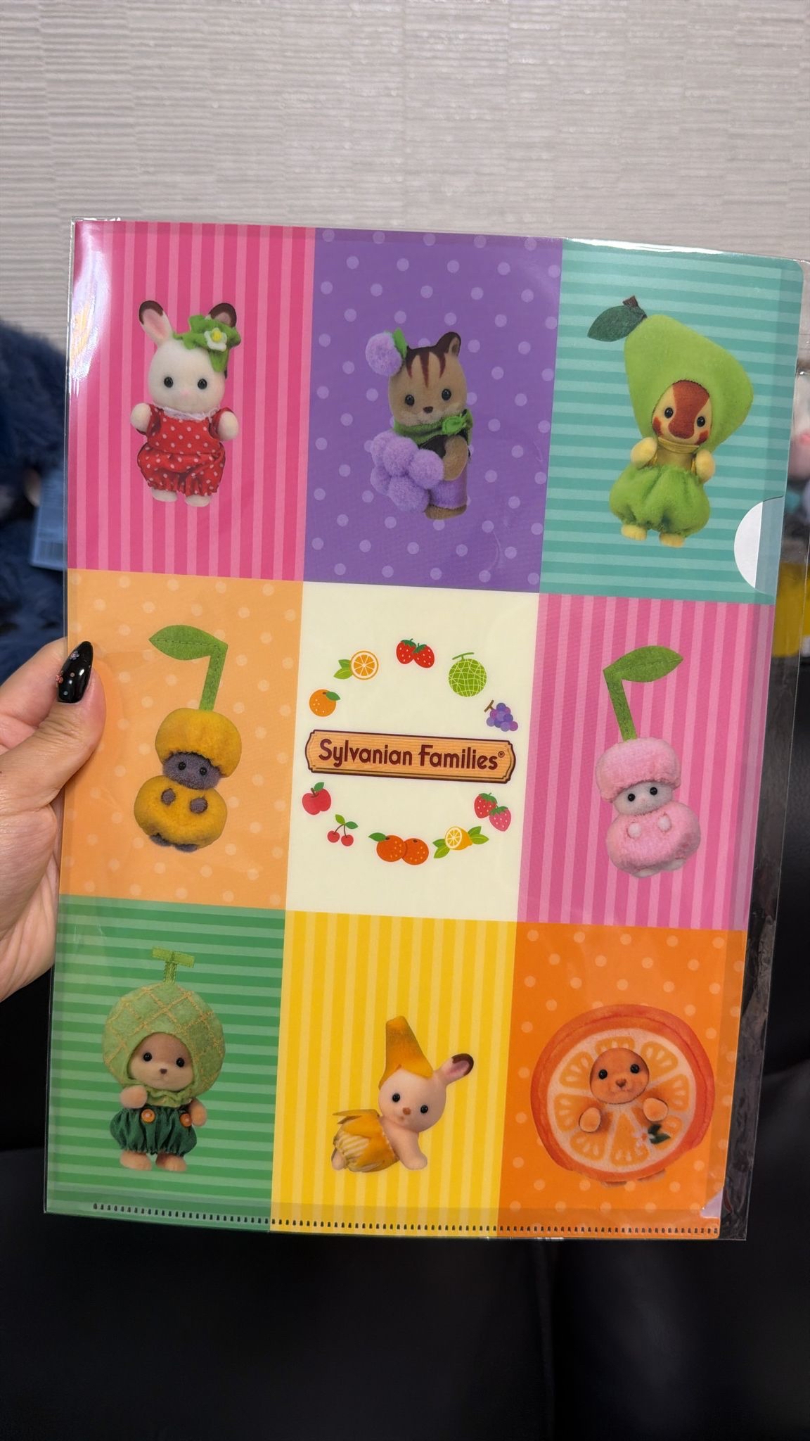 現貨 日本森林家族A4 File