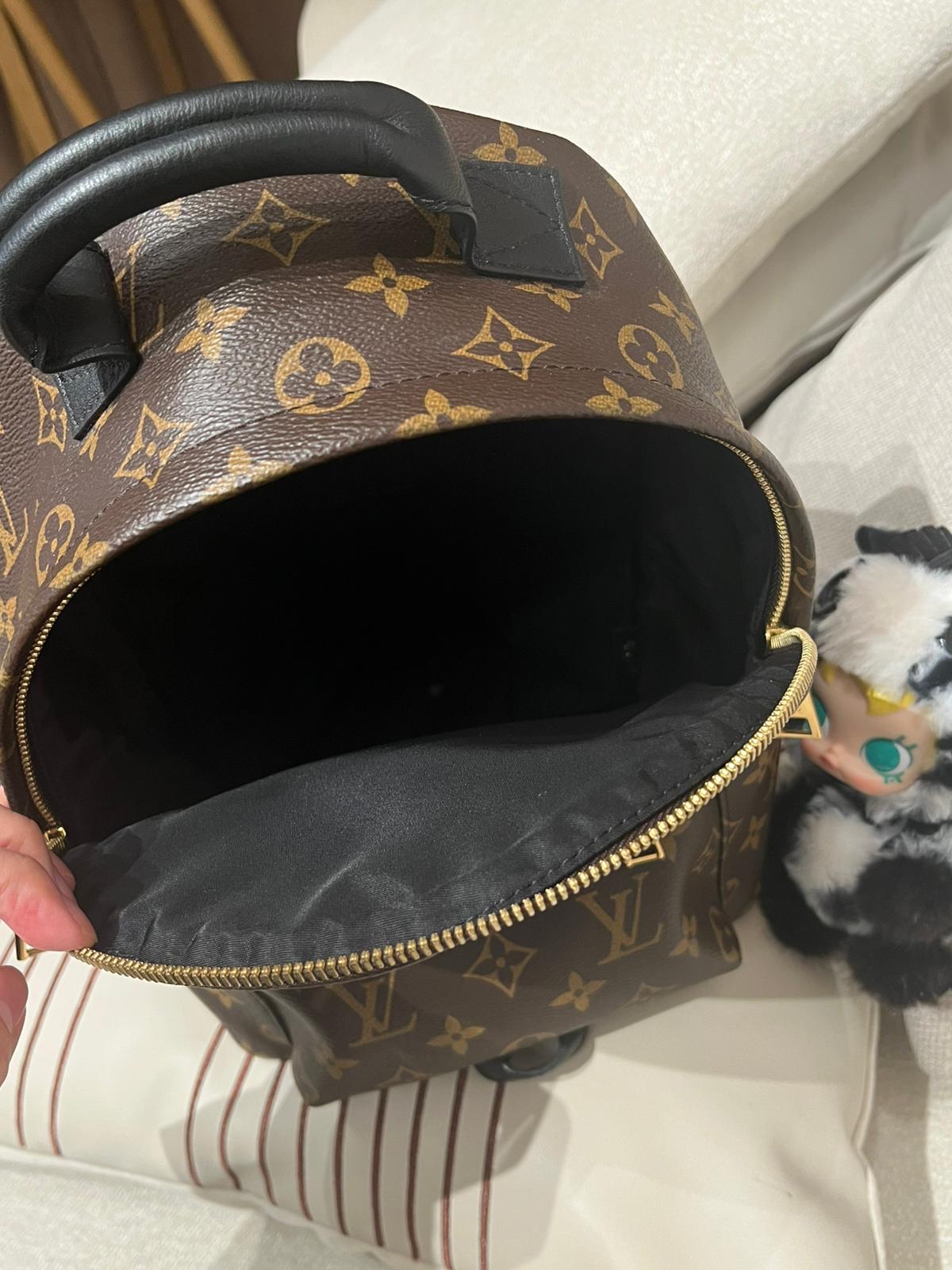 Lv backpack Palm Springs pm 100%Authentic,98%new ✅塵袋✅booklet