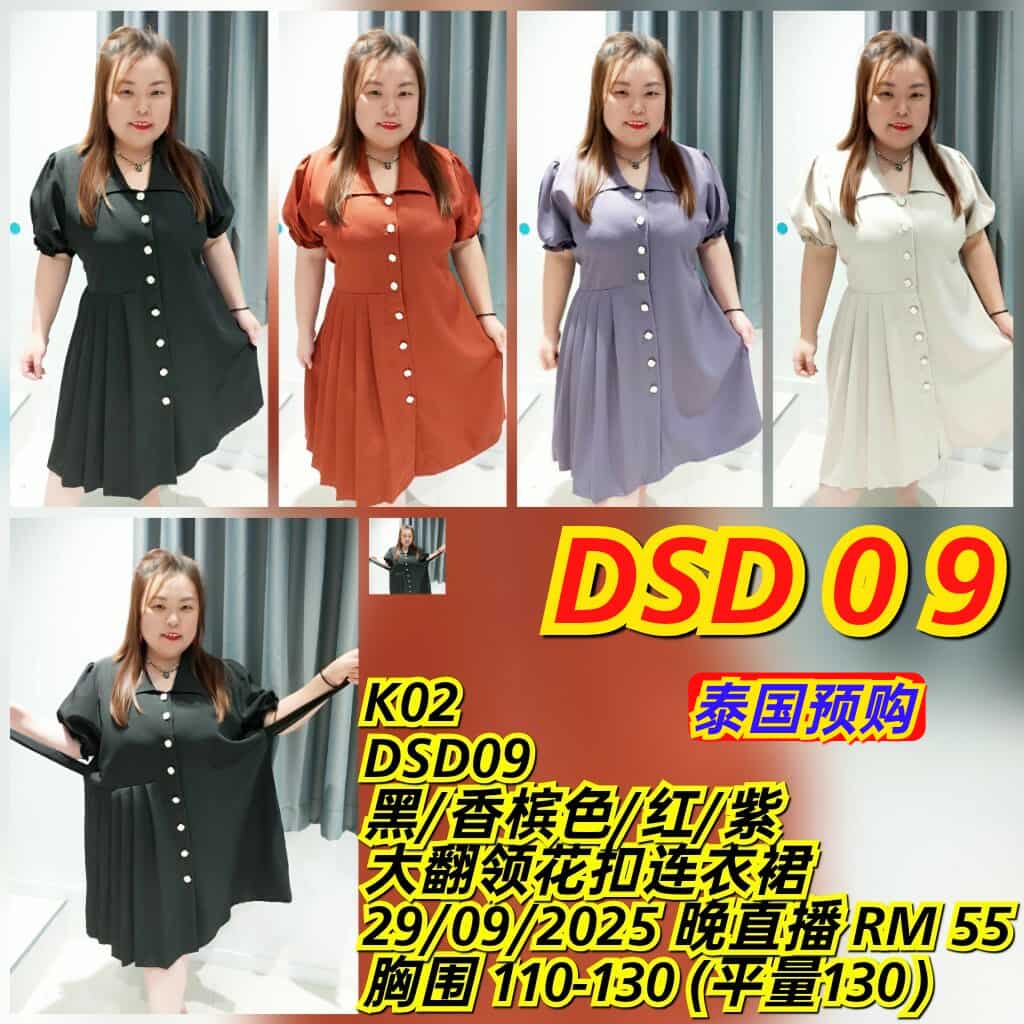 DSD09 大翻领花扣连衣裙